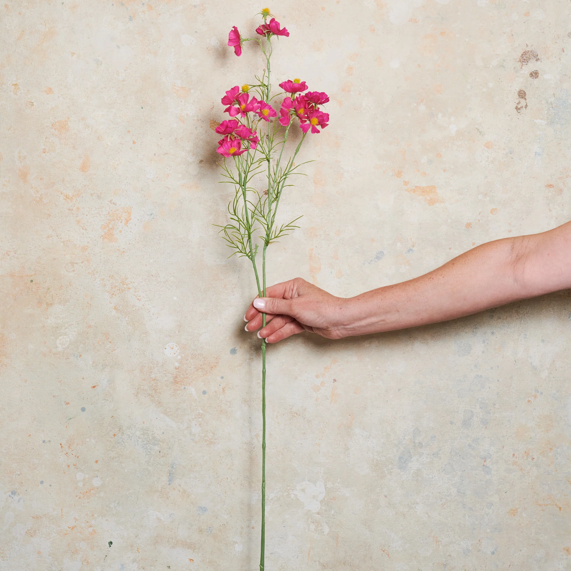 Cosmo Spray Real Touch Flower Stem - Image 8