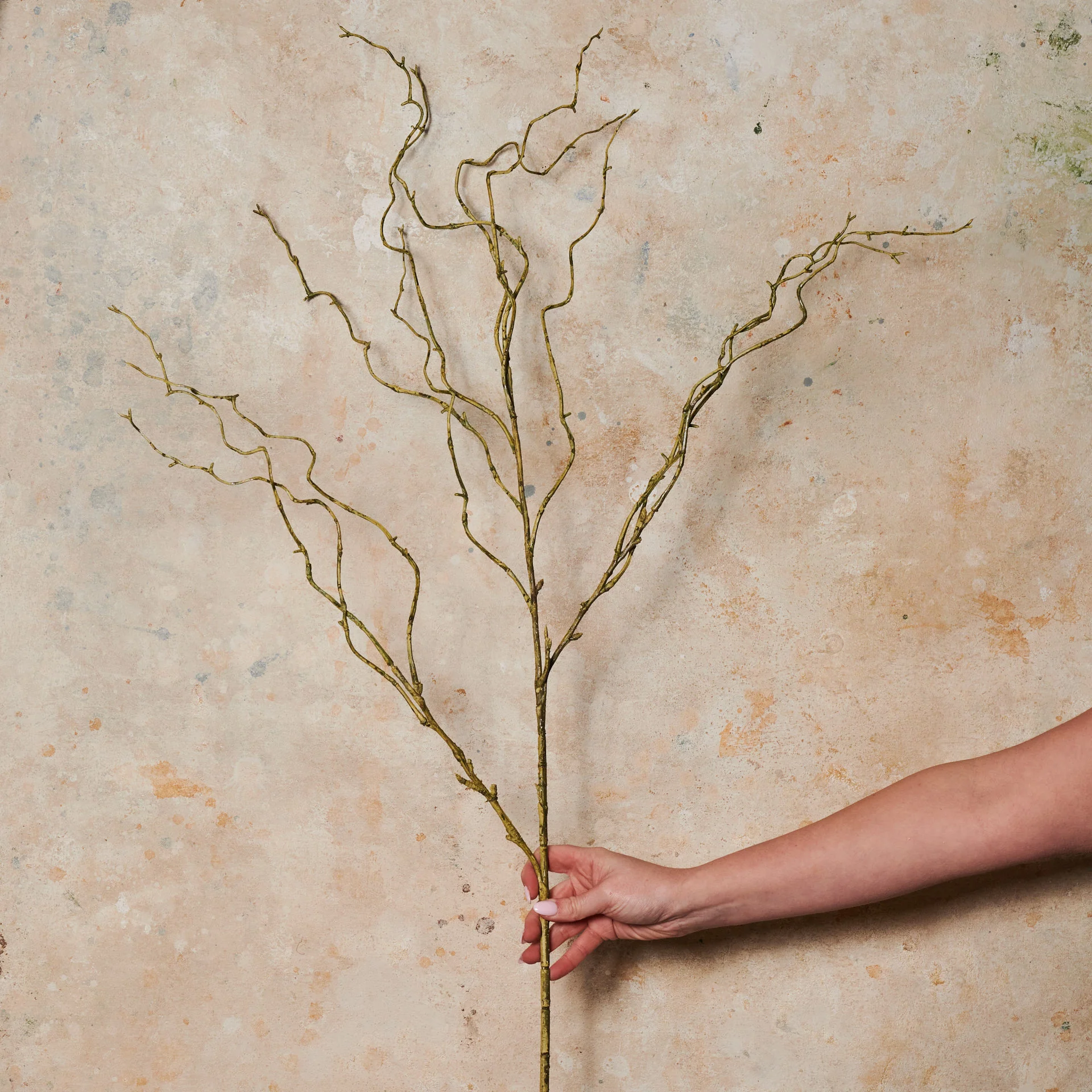 Curly Willow Twig Spray Real Touch Stem - Image 2