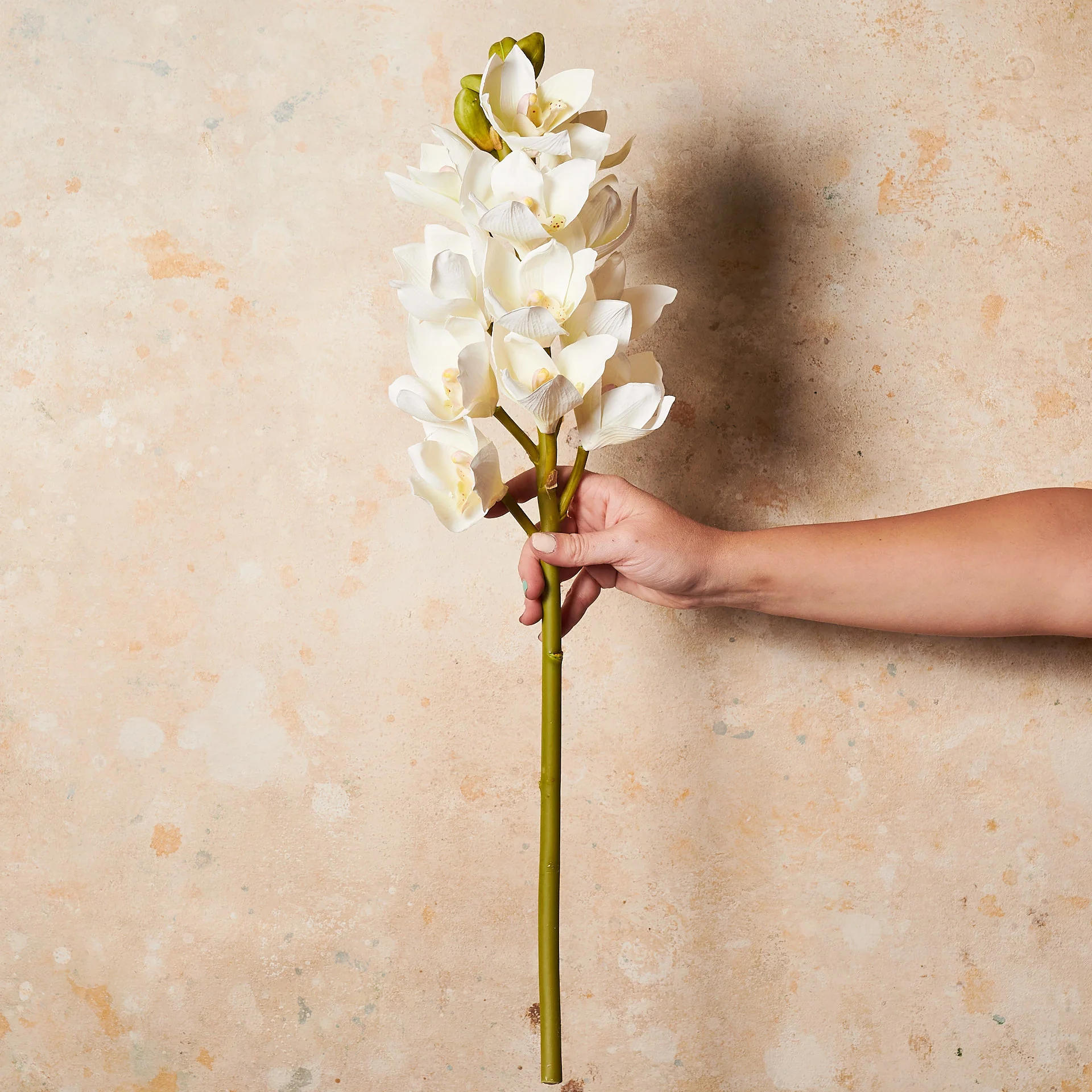 Cymbidium Orchid Real Touch Flower Stem - Image 3