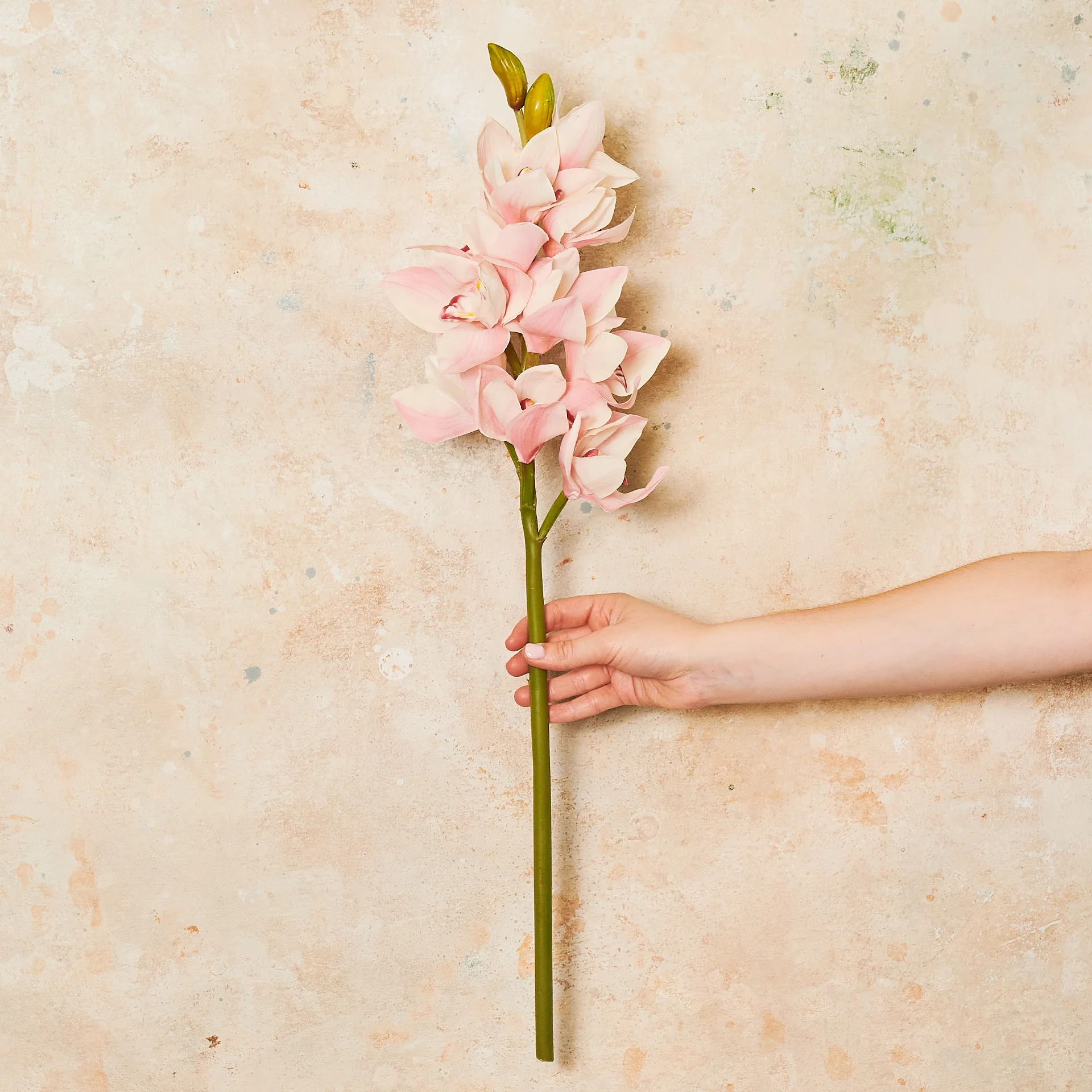 Cymbidium Orchid Real Touch Flower Stem - Image 5
