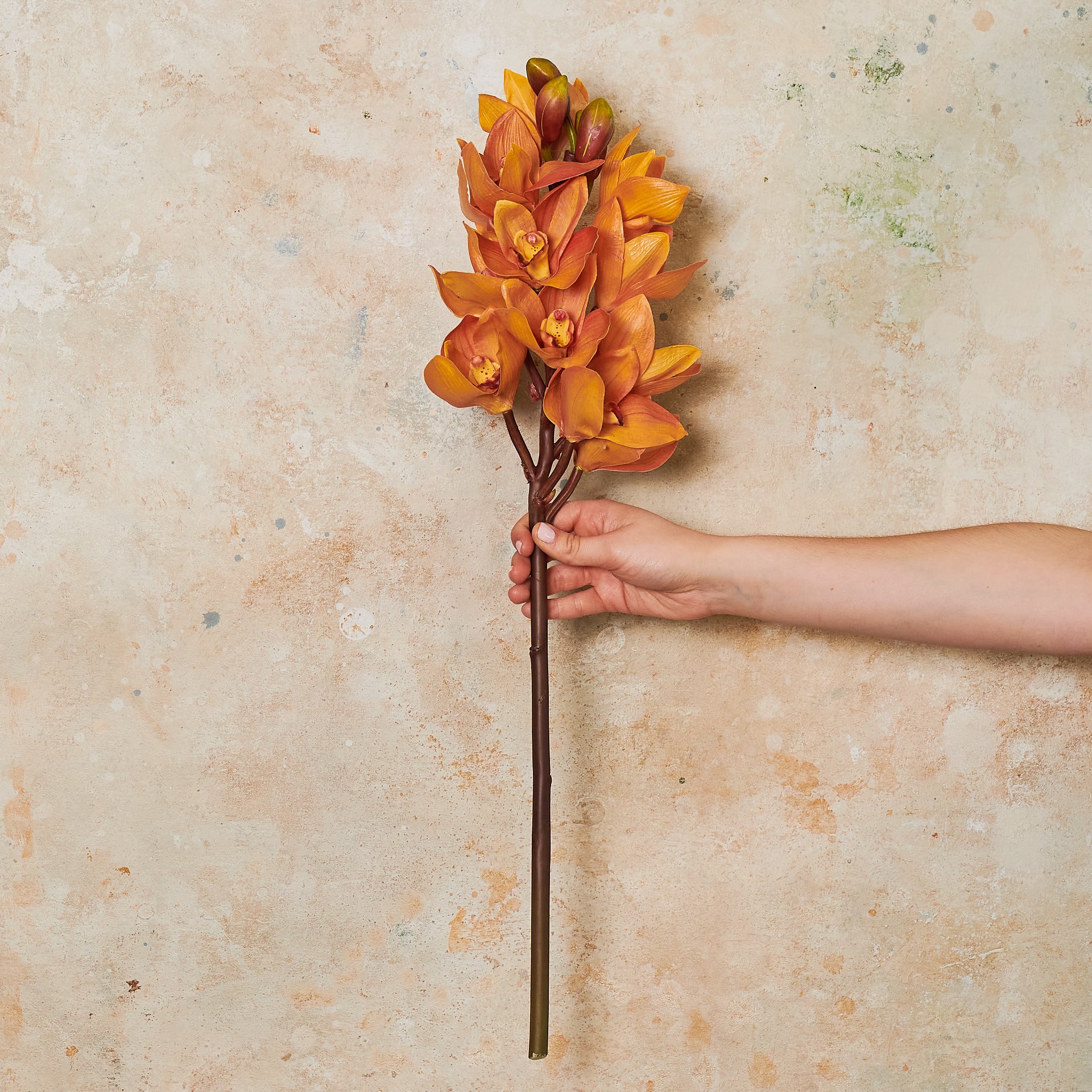 Cymbidium Orchid Real Touch Flower Stem - Image 6