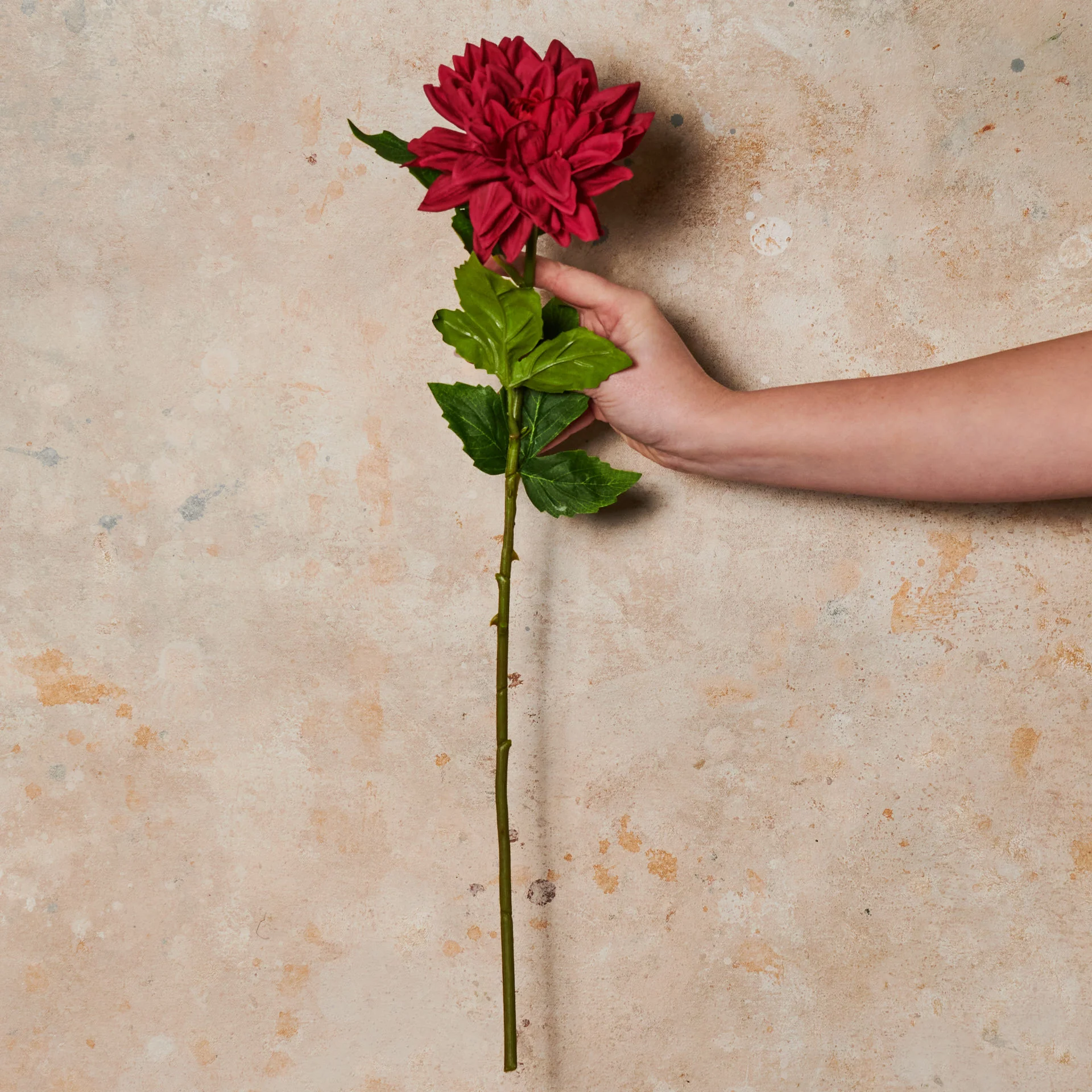 Dahlia Premium Real Touch Flower Stem - Image 4