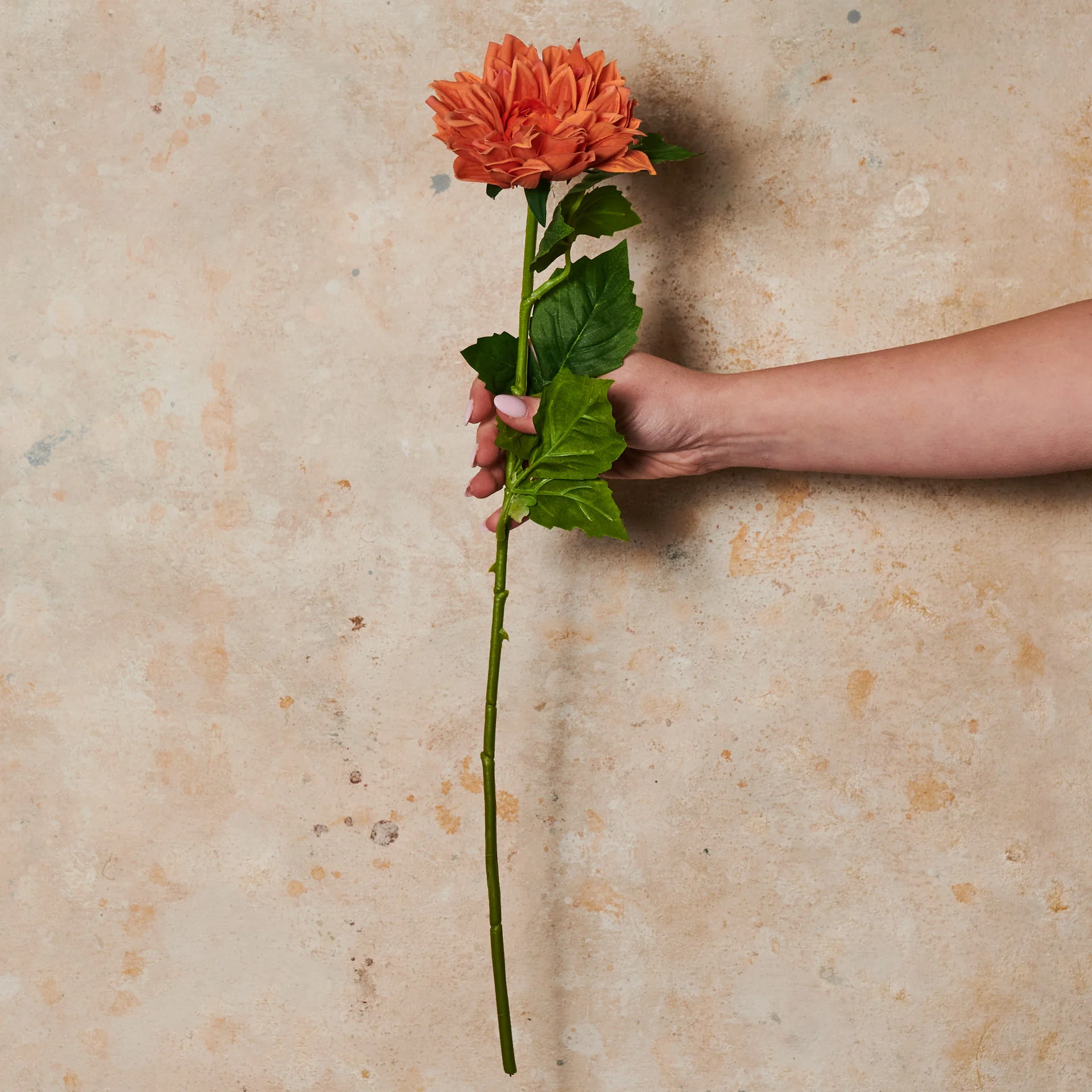 Dahlia Premium Real Touch Flower Stem - Image 6