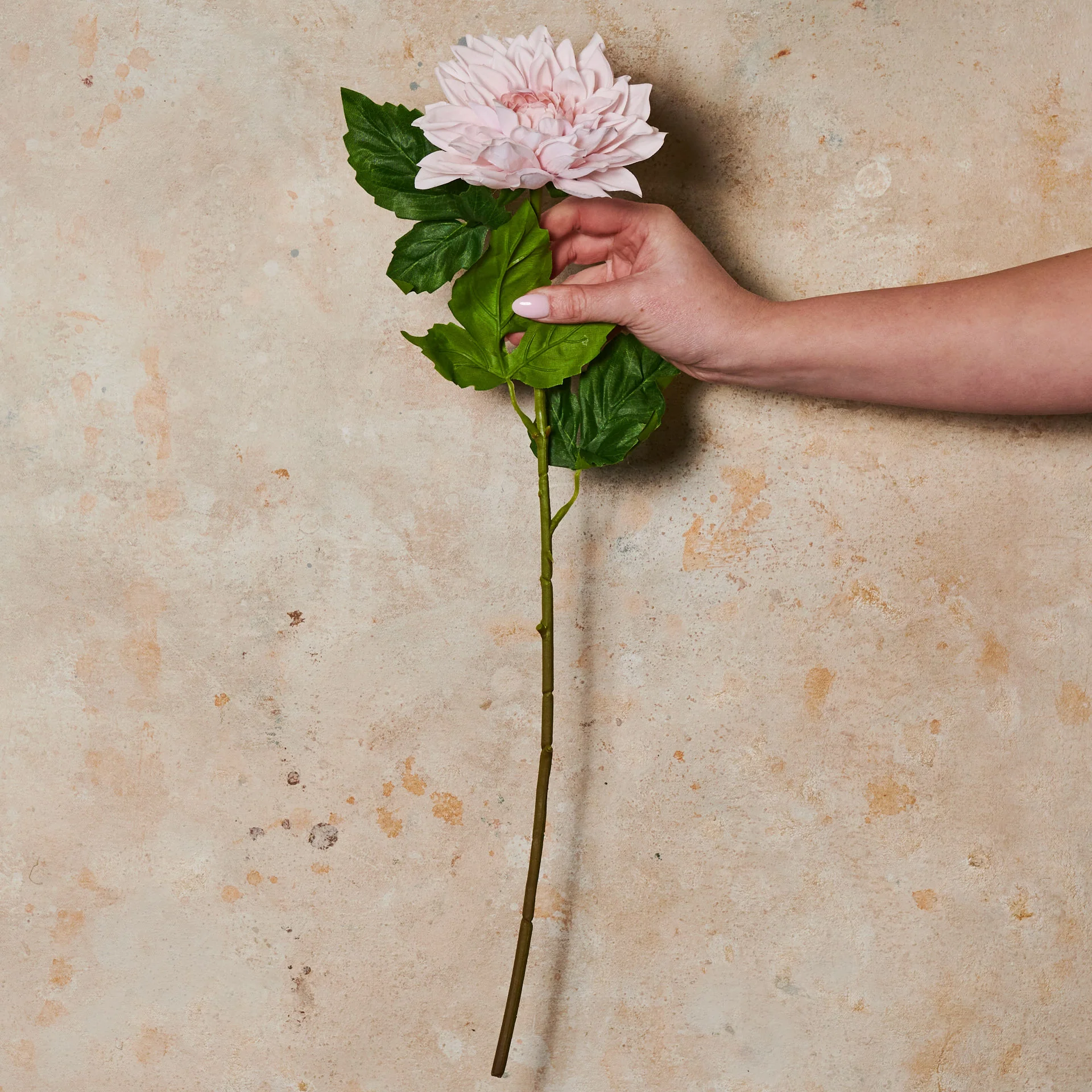 Dahlia Premium Real Touch Flower Stem - Image 8