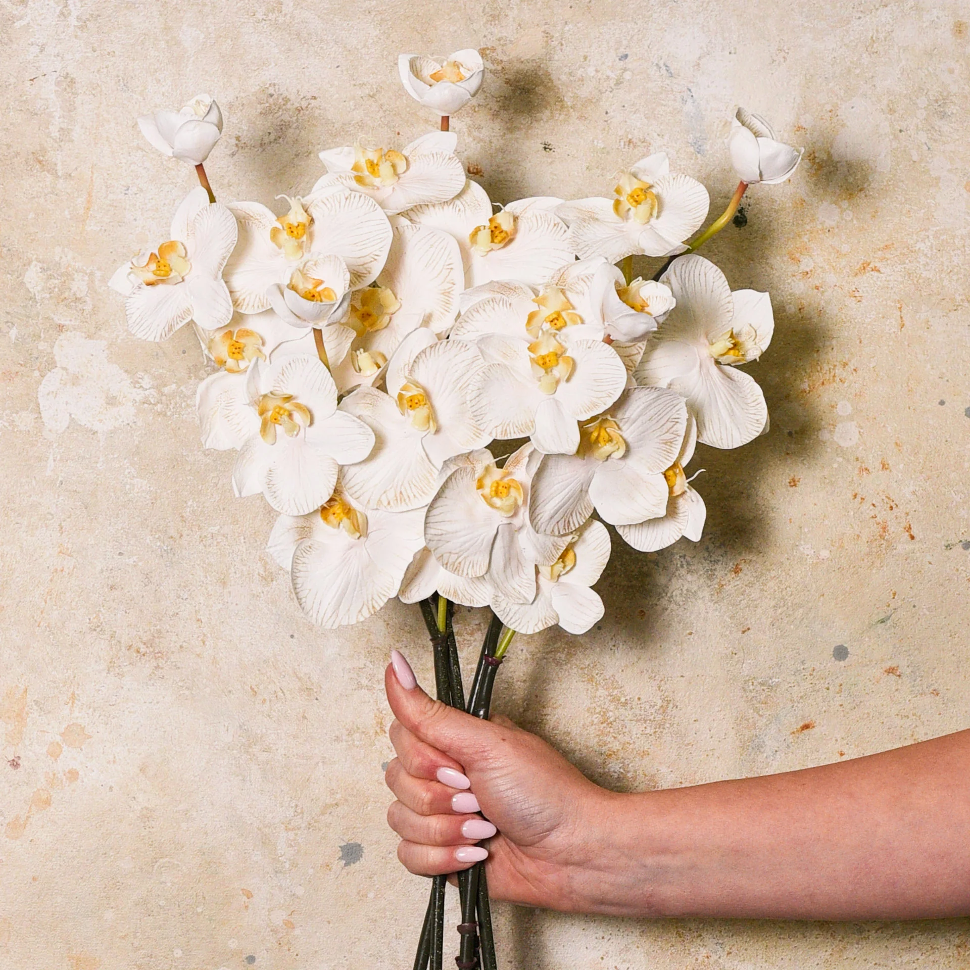 Mini Phalaenopsis Real Touch Flower Stem - Image 2