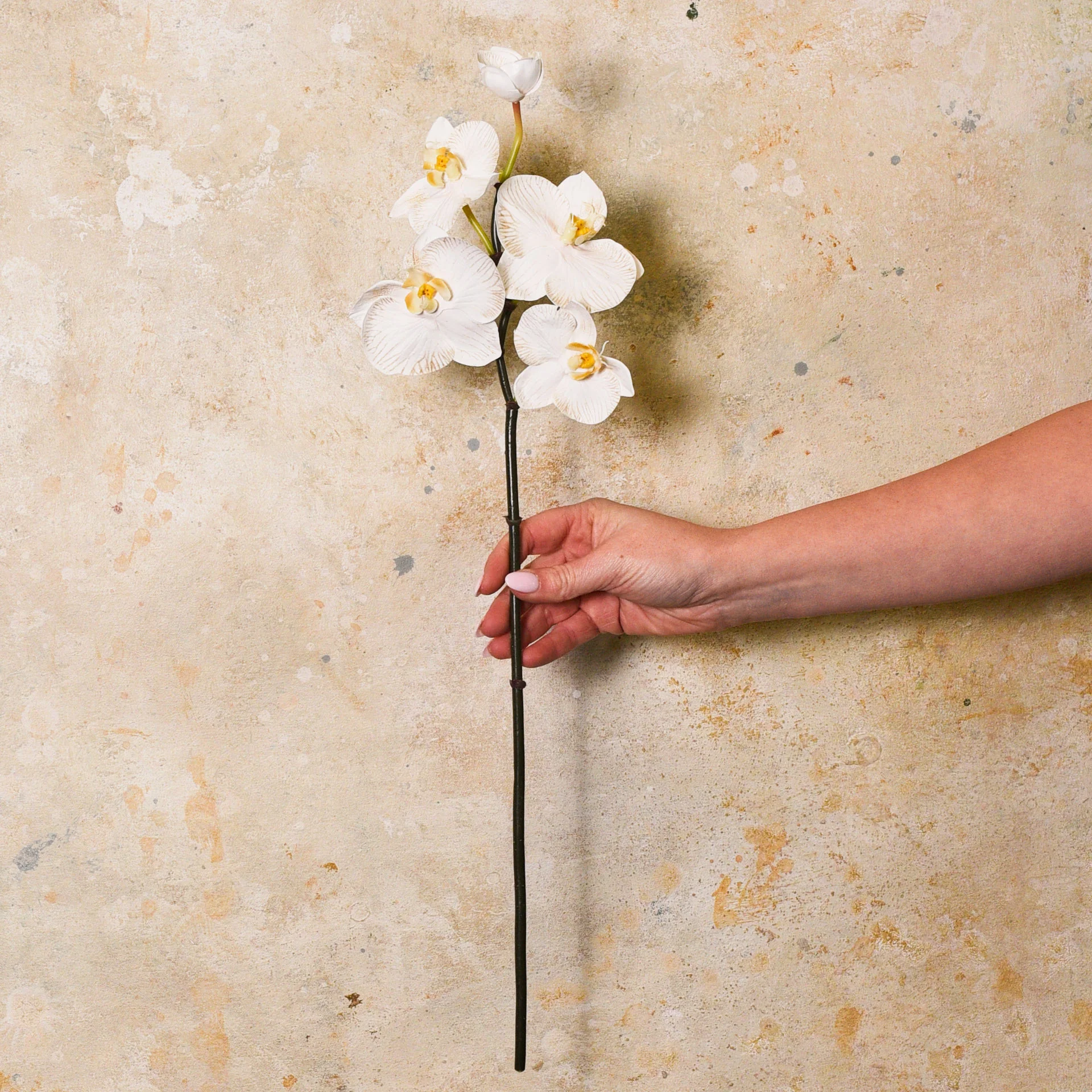 Mini Phalaenopsis Real Touch Flower Stem - Image 3