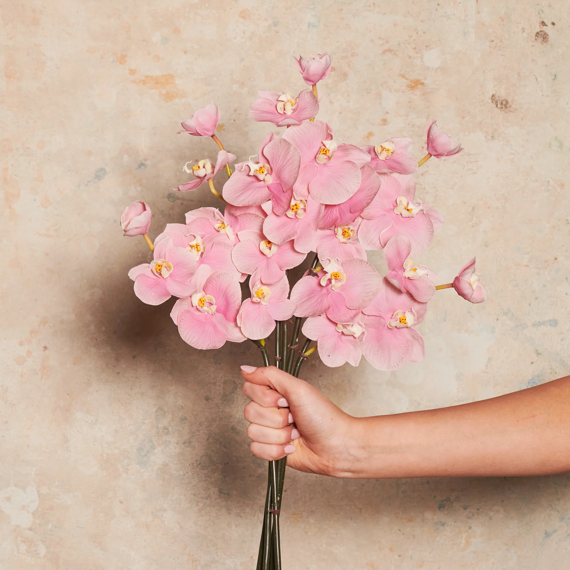 Mini Phalaenopsis Real Touch Flower Stem - Image 4