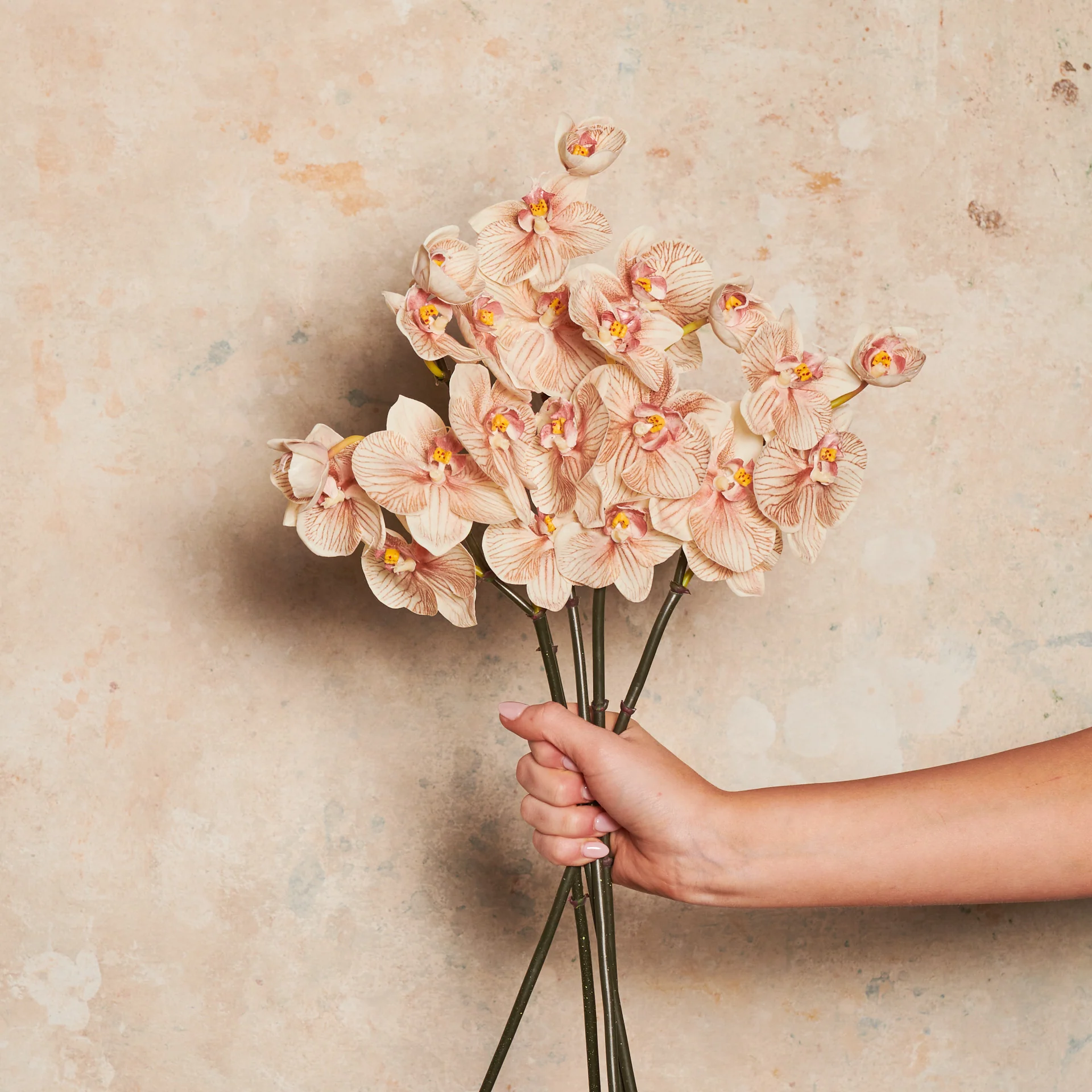 Mini Phalaenopsis Real Touch Flower Stem - Image 6
