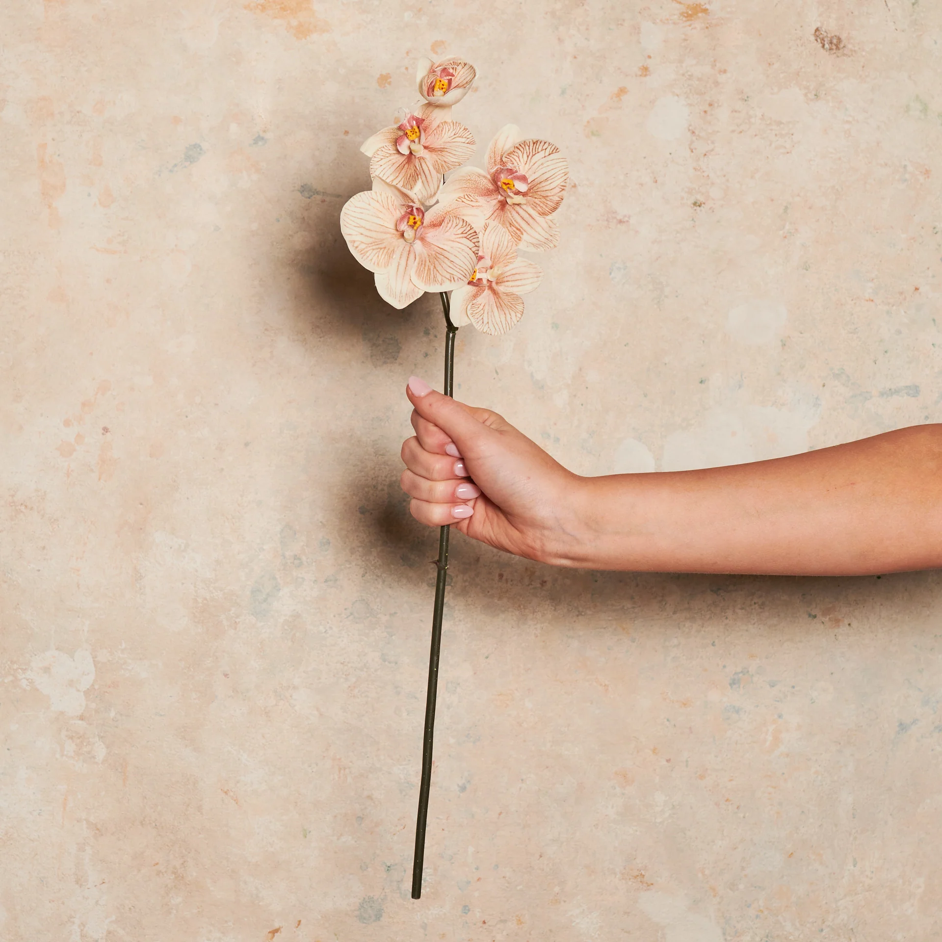 Mini Phalaenopsis Real Touch Flower Stem - Image 7