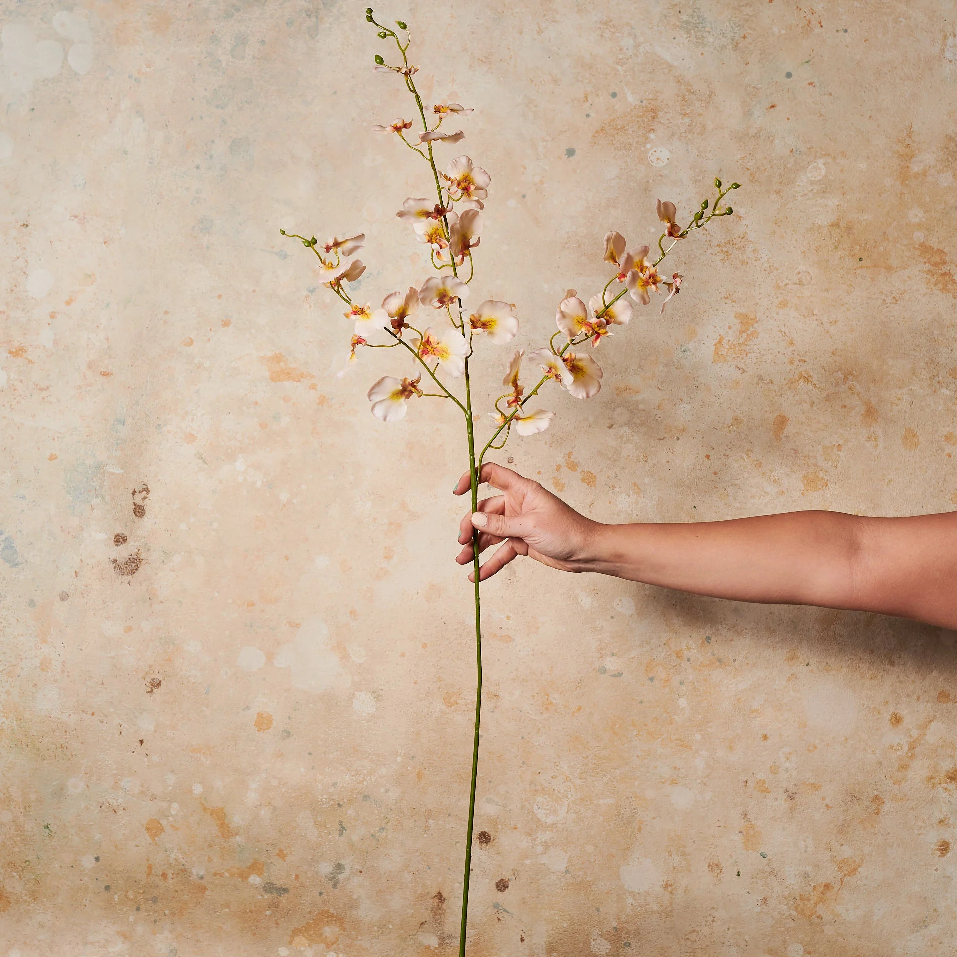 Dancing Orchid Real Touch - Image 7