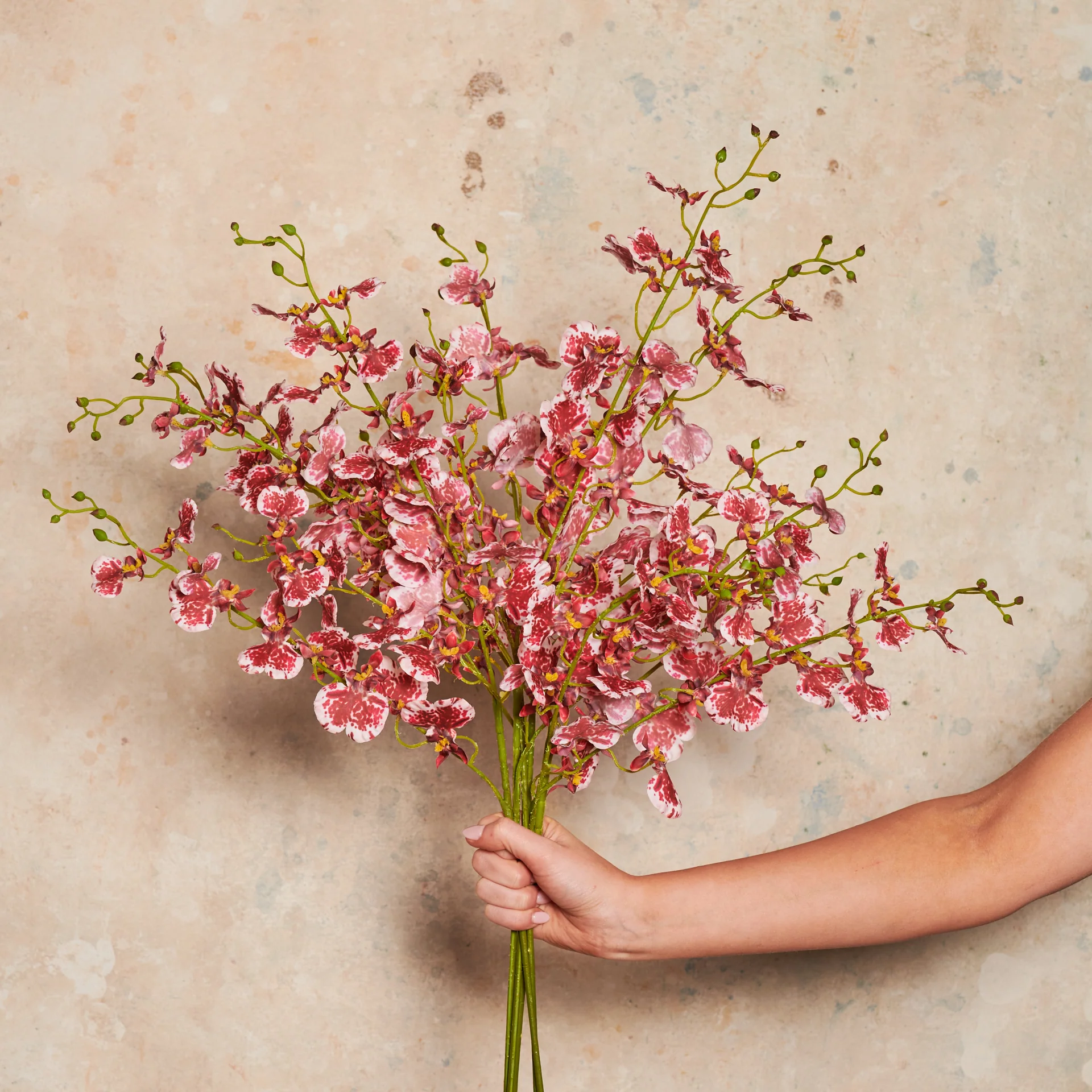 Dancing Orchid Real Touch - Image 9