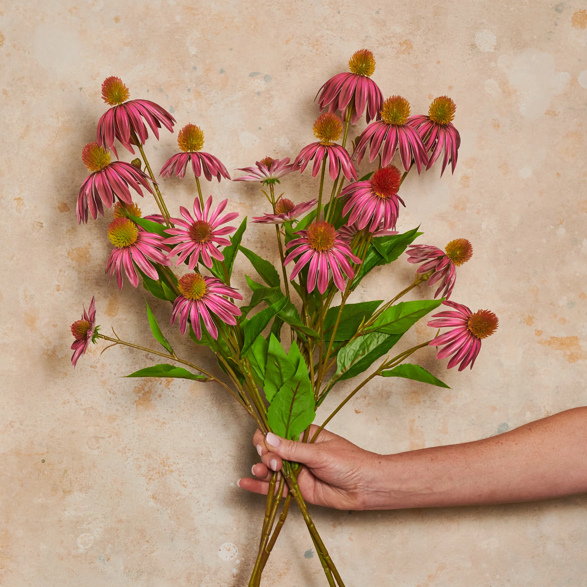 Echinacea Spray Flower Stem - Image 2