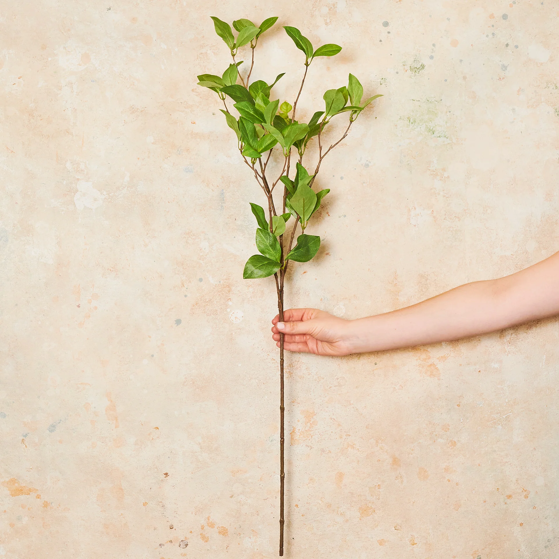 Enki Leaf Real Touch Stem - Image 2