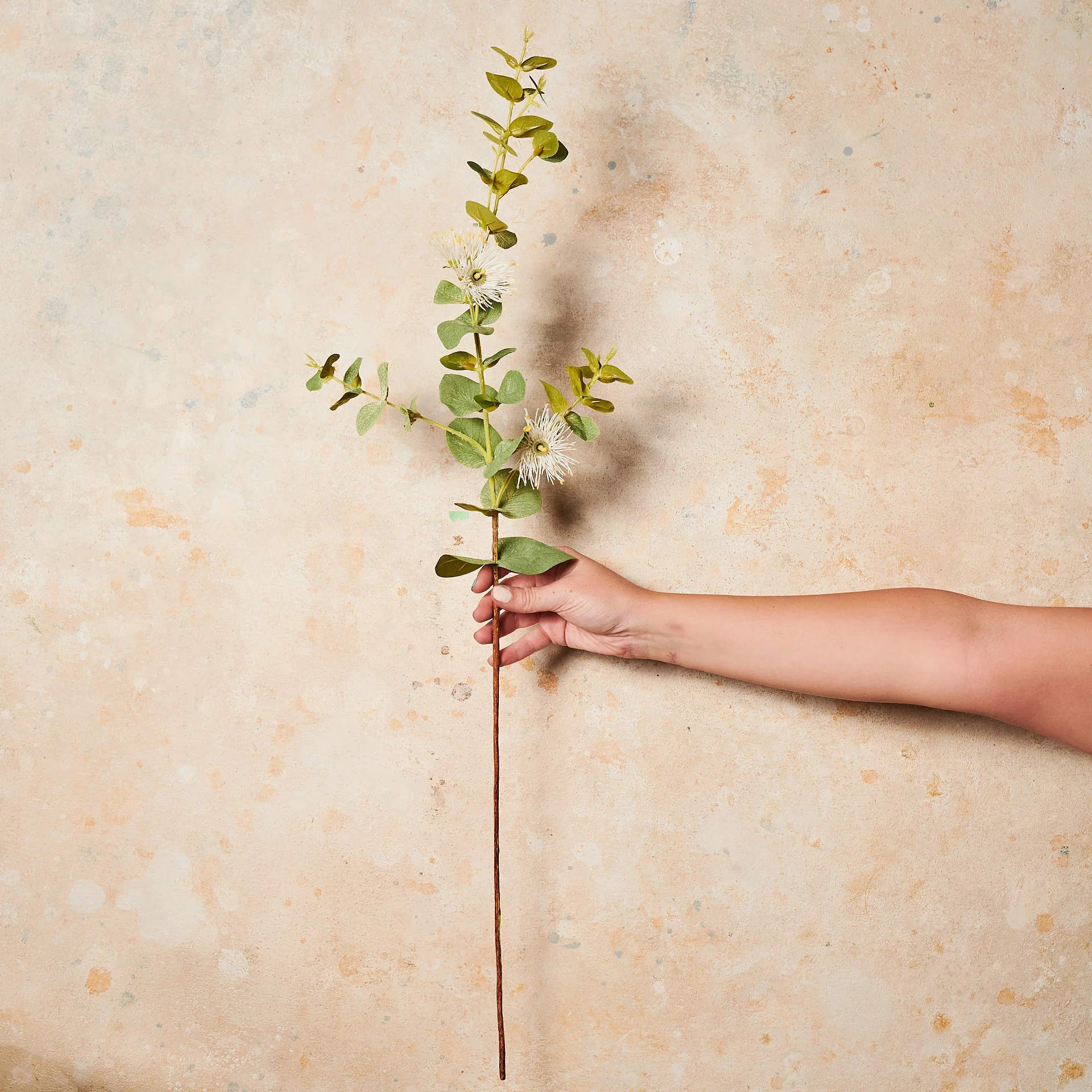 Eucalyptus Blossom Real Touch Flower Stem - Image 3