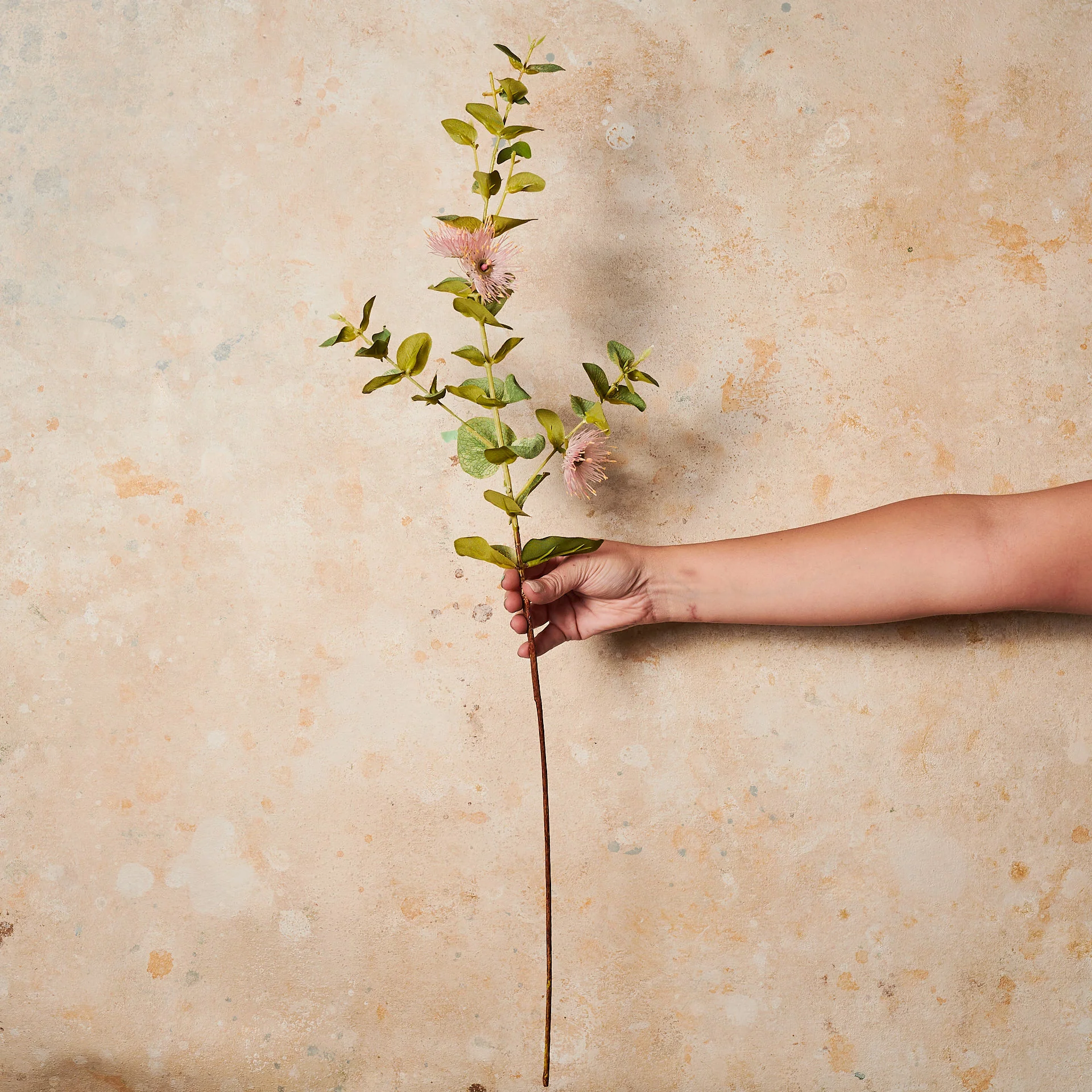 Eucalyptus Blossom Real Touch Flower Stem - Image 4