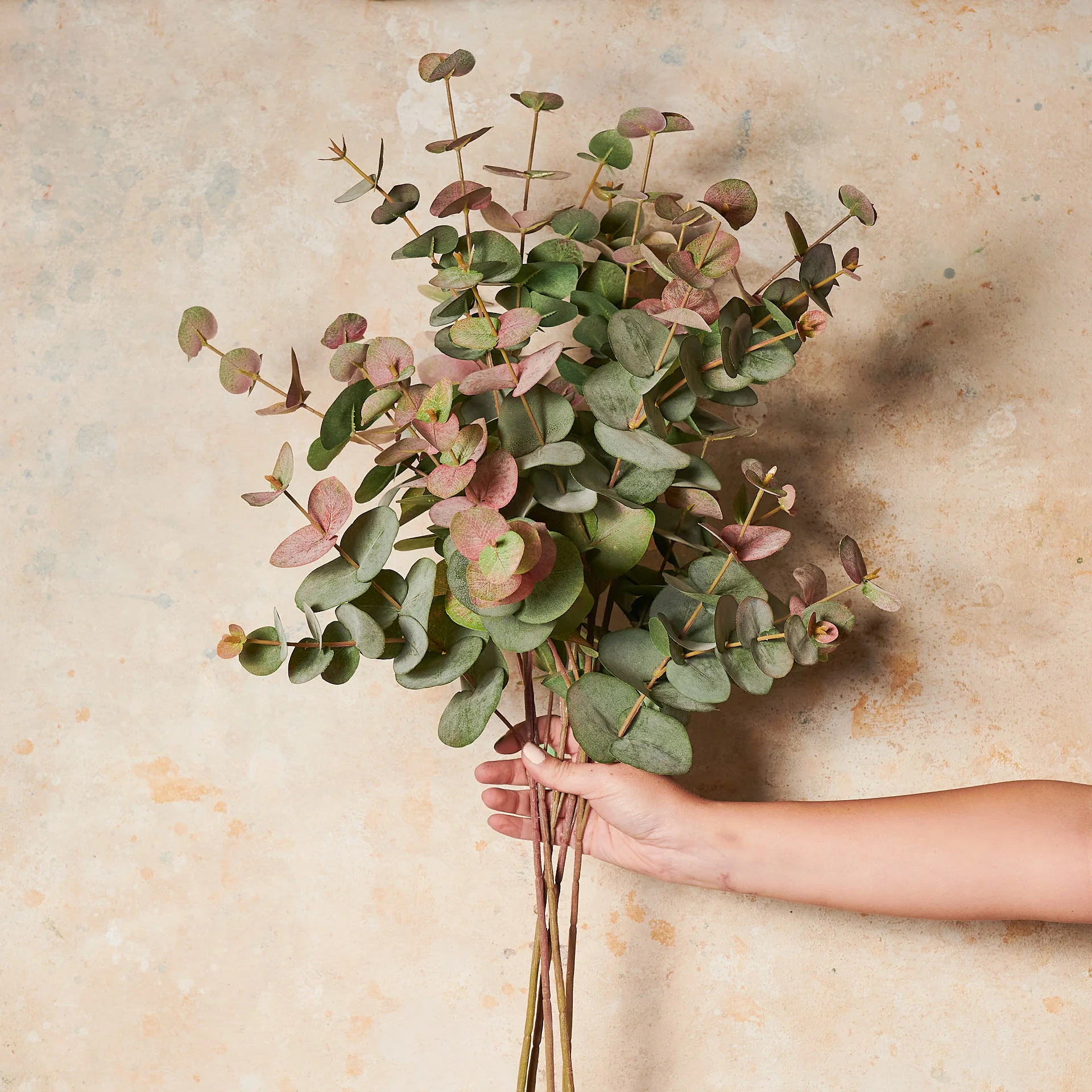 Eucalyptus Dollar Gum Real Touch Stem - Image 3