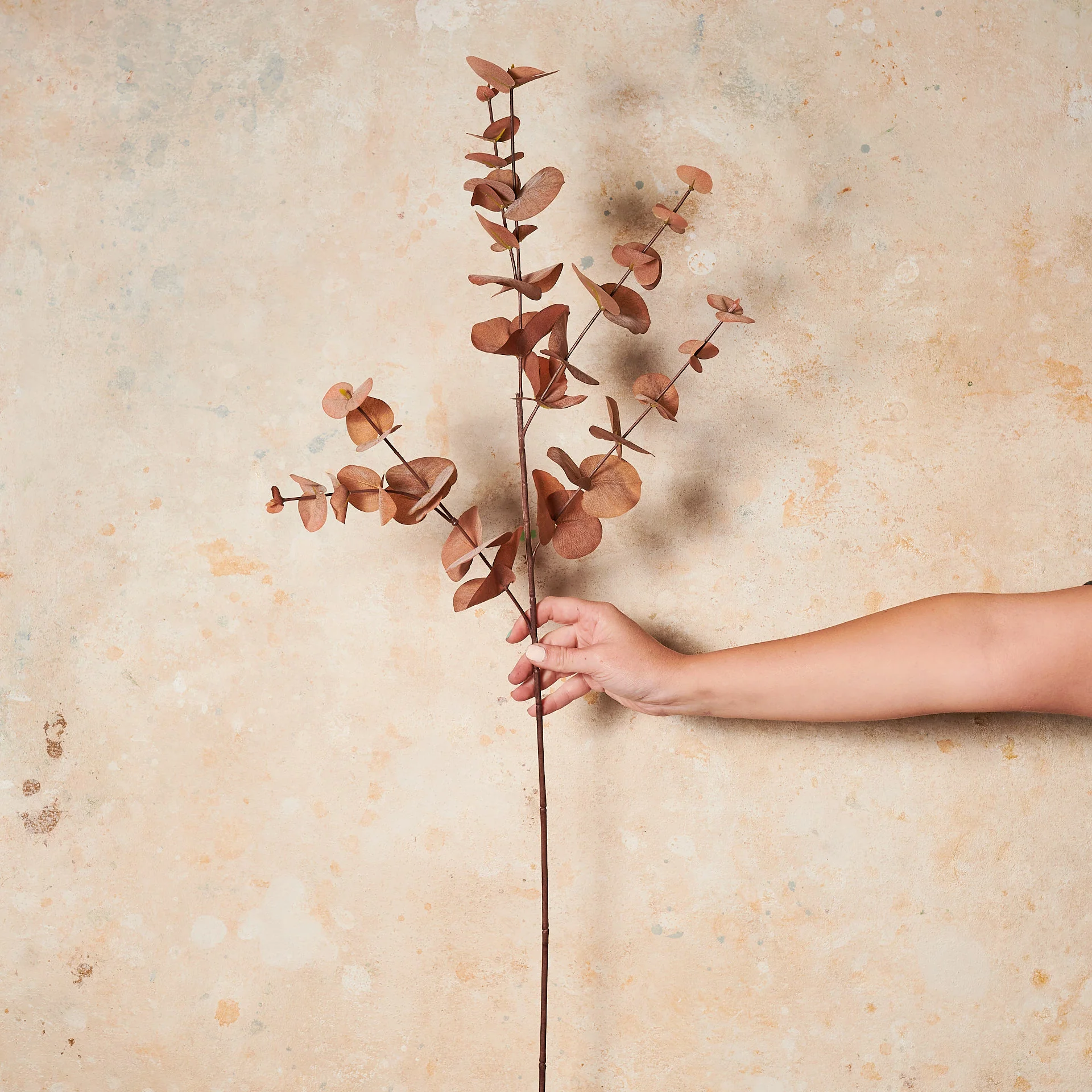 Eucalyptus Dollar Gum Real Touch Stem - Image 6