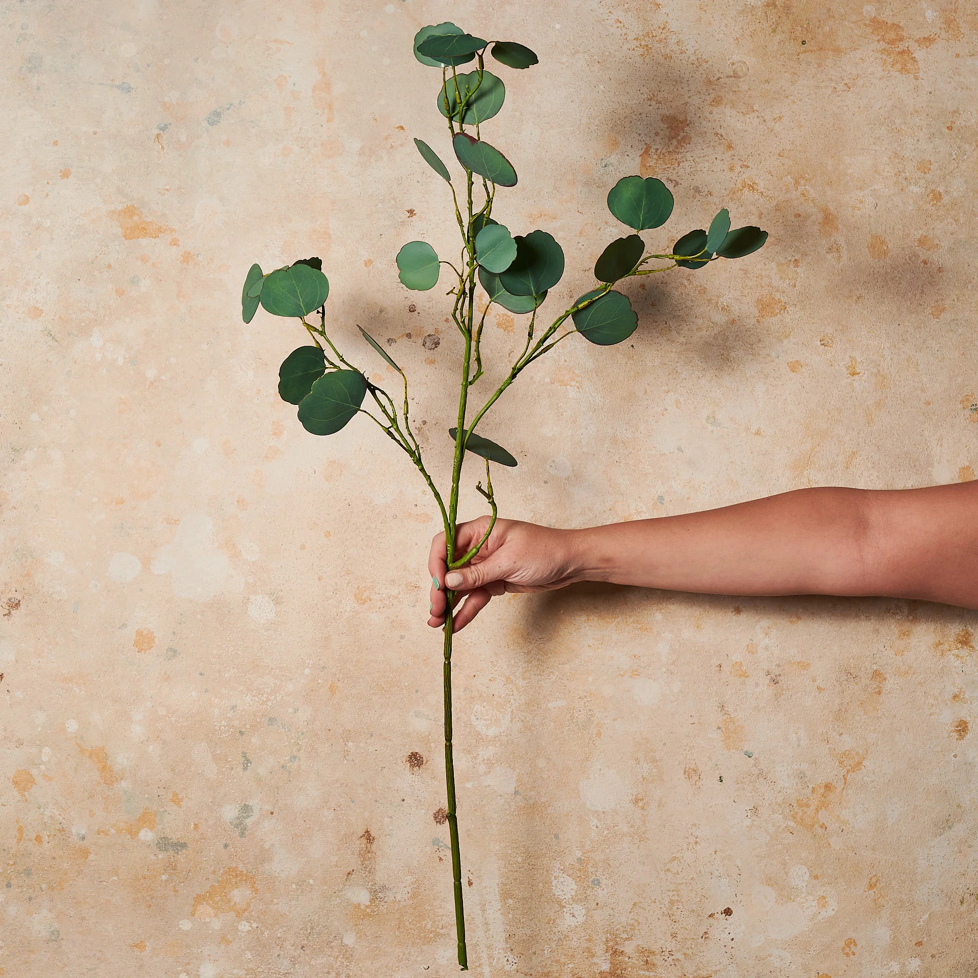 Eucalyptus Drop Leaf Forest Green Real Touch Stem - Image 2
