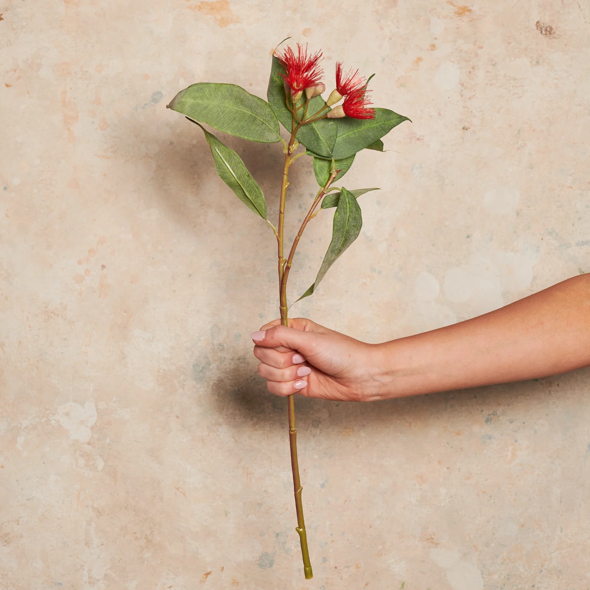 Eucalyptus Flowering Pod Real Touch Flower Stem - Image 3
