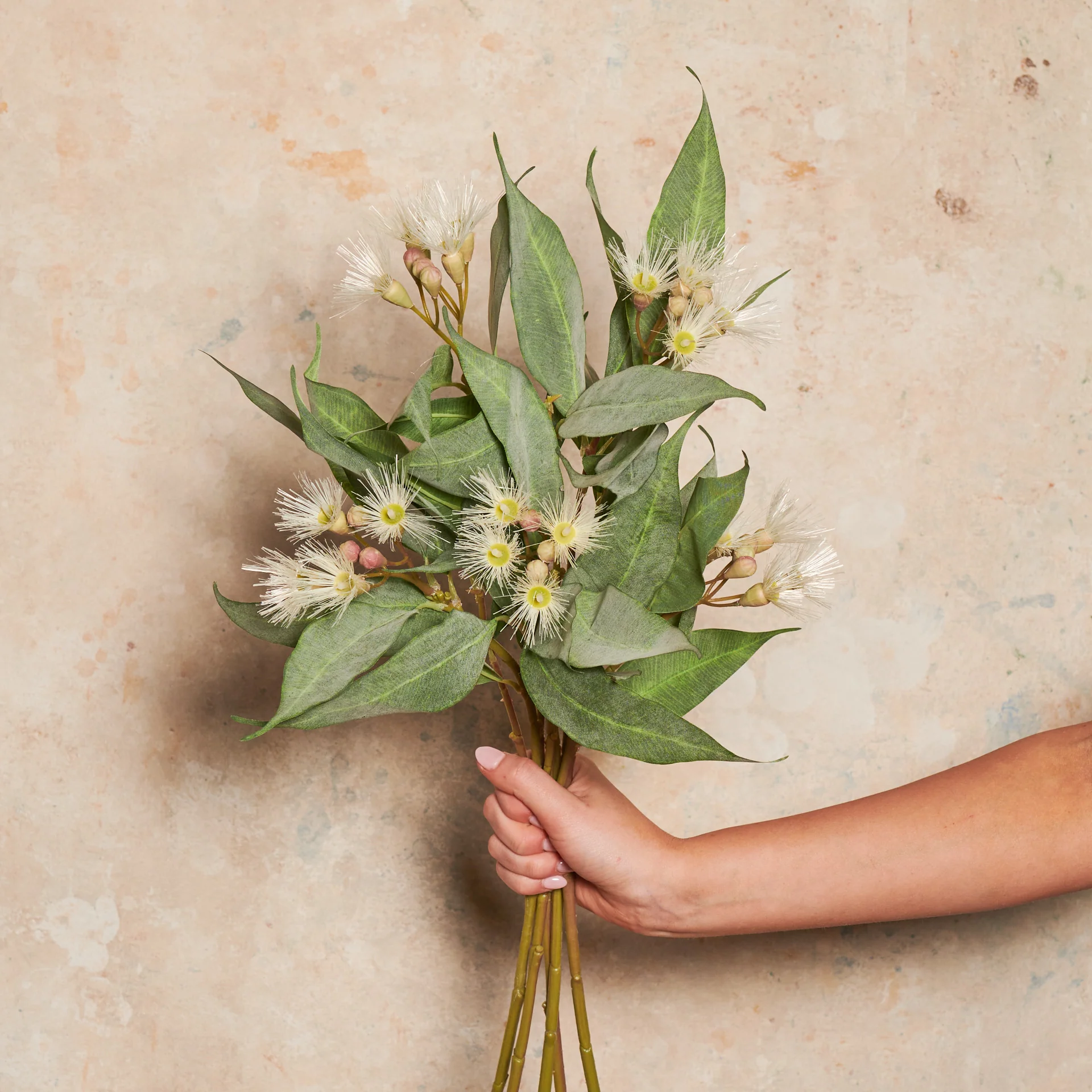 Eucalyptus Flowering Pod Real Touch Flower Stem - Image 4
