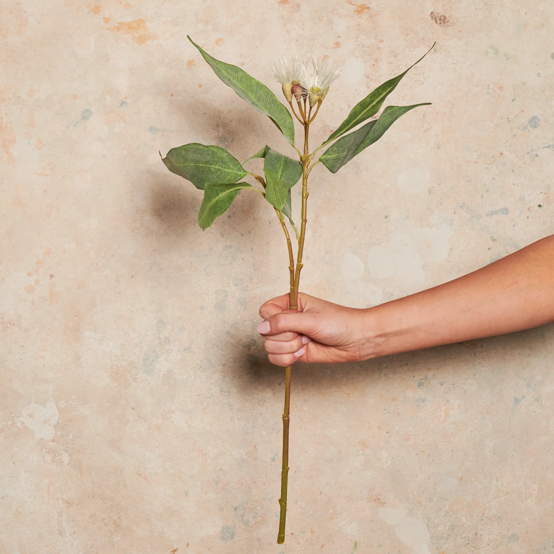 Eucalyptus Flowering Pod Real Touch Flower Stem - Image 5