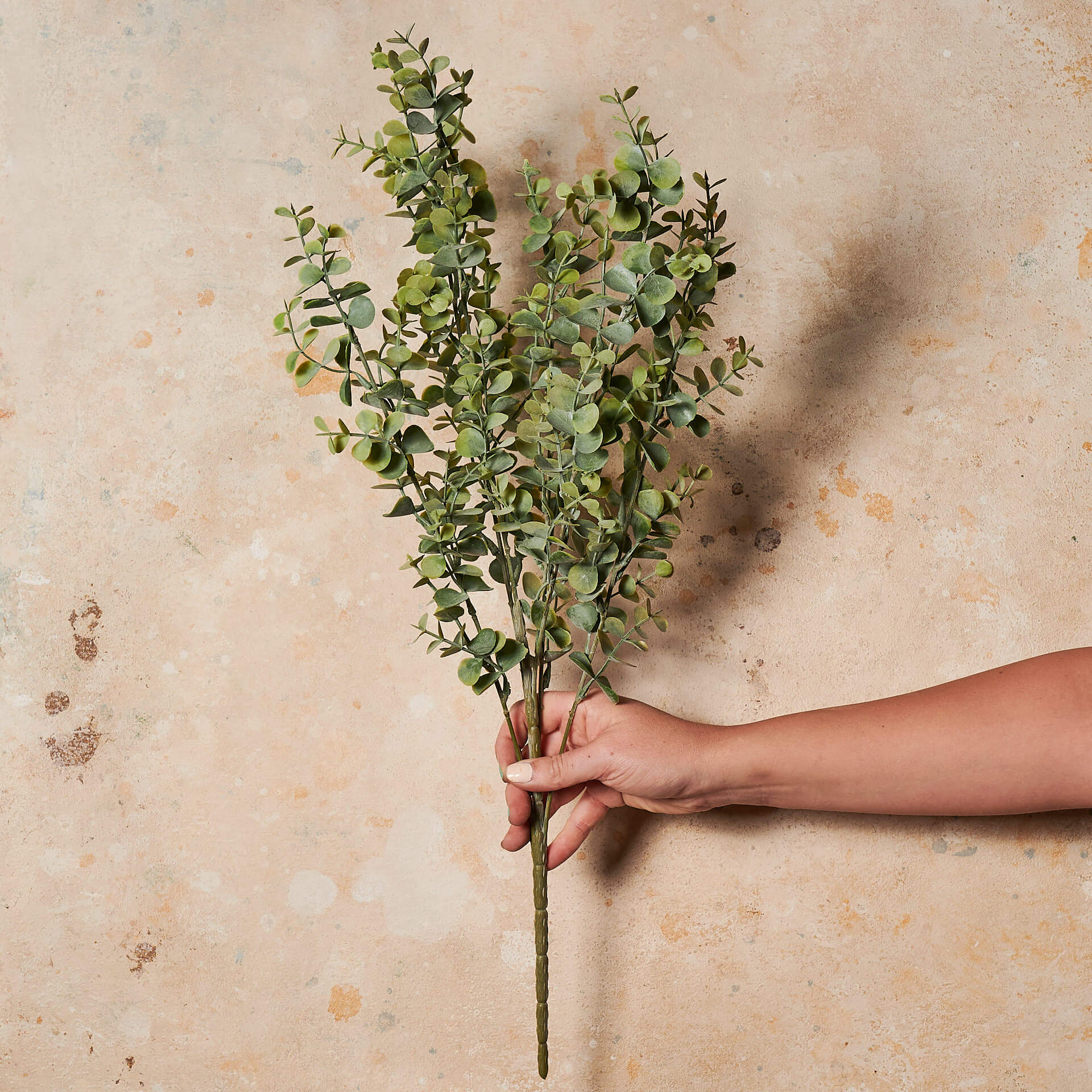 Eucalyptus Mini Leaf Real Touch Stem - Image 6