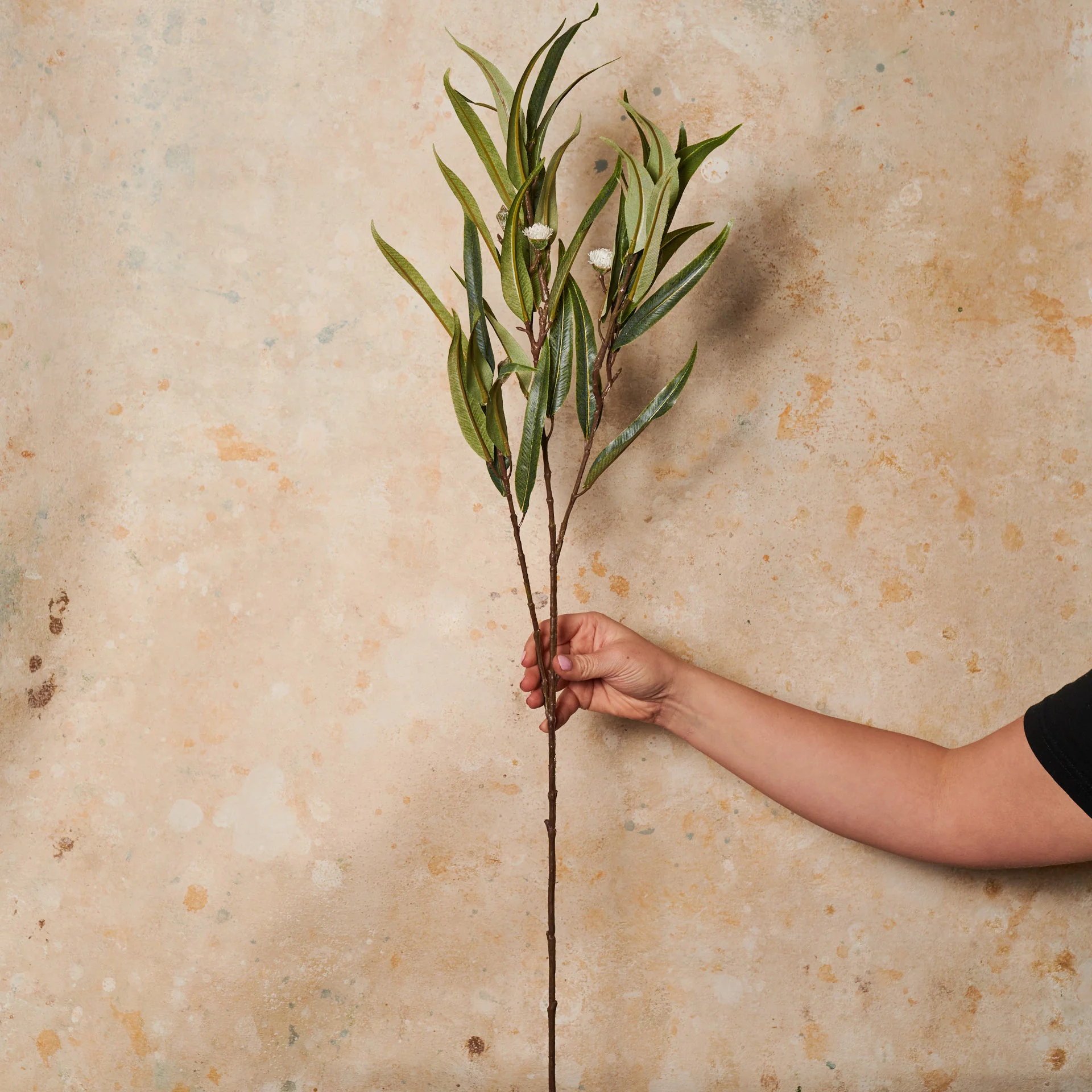 Eucalyptus Flowering Seed Pod Spray Real Touch Stem - Image 2