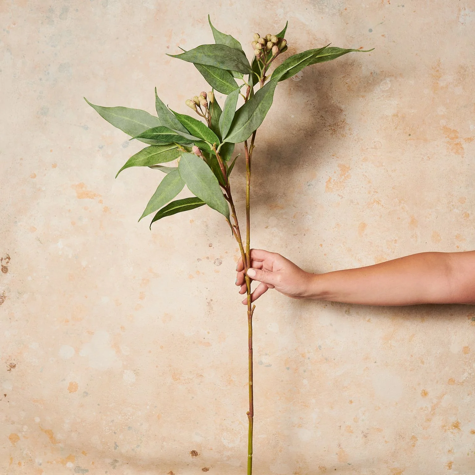 Eucalyptus Seed Spray Real Touch Stem - Image 2