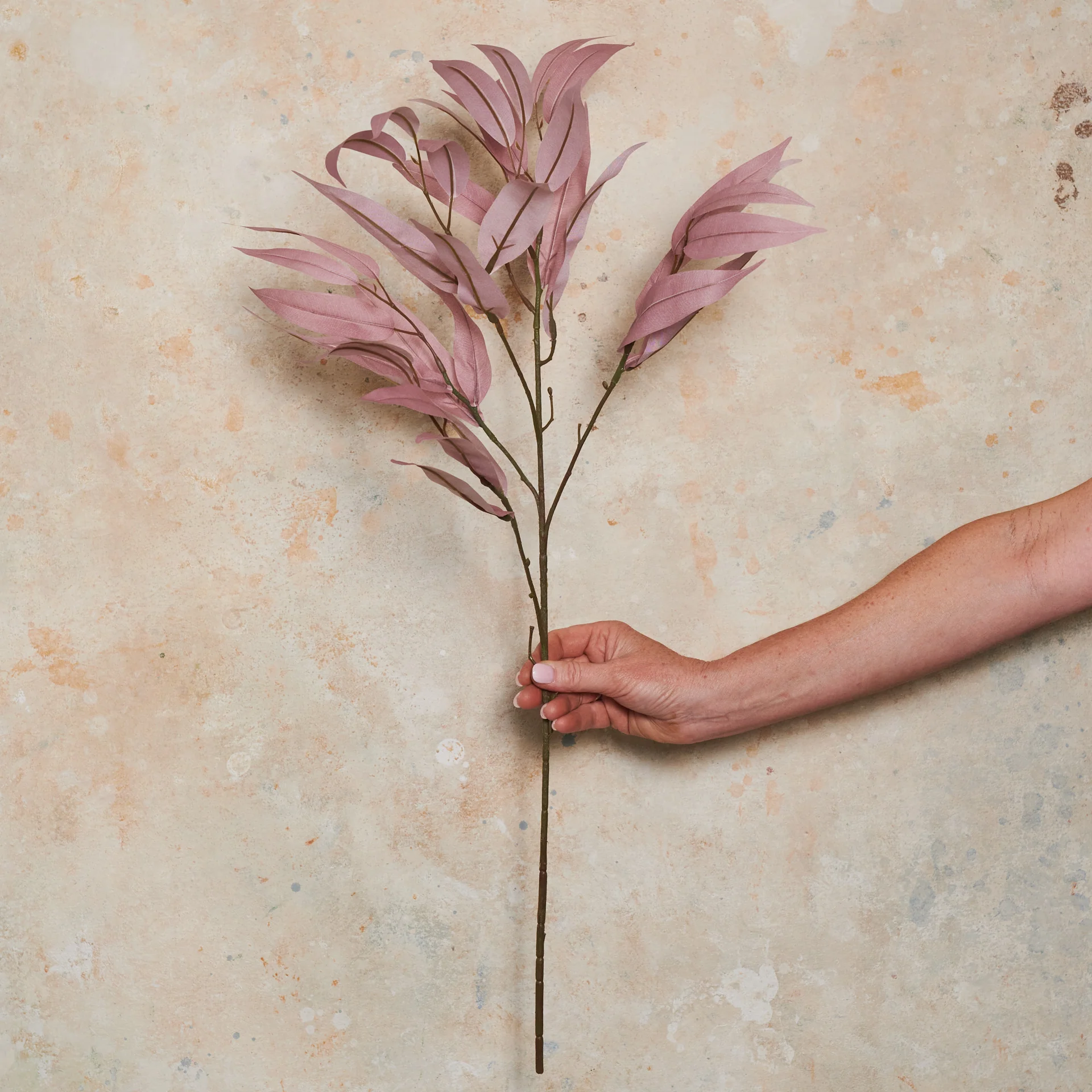 Eucalyptus Spray Dusty Pink Stem - Image 2