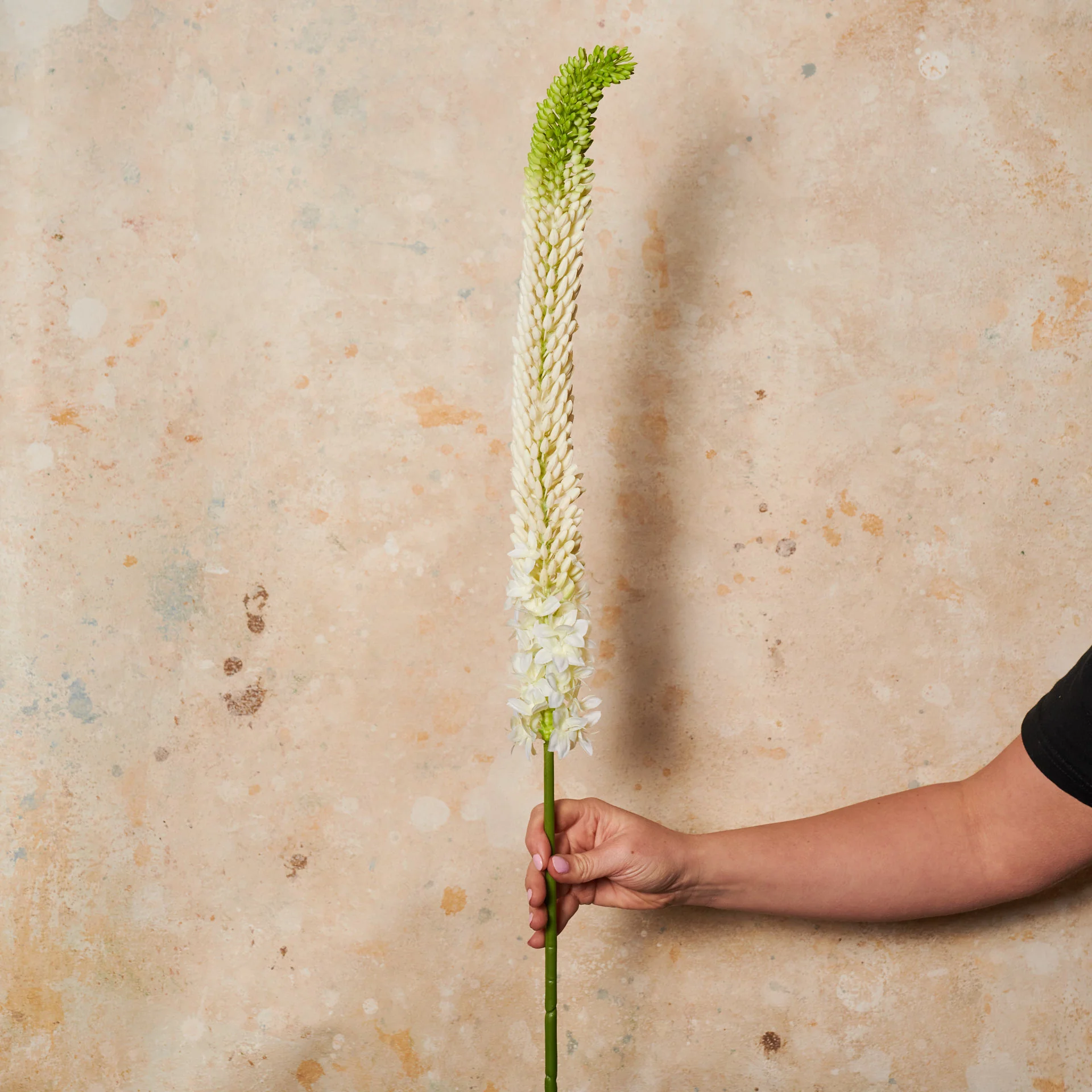 Foxtail Lily Real Touch Flower Stem - Image 2