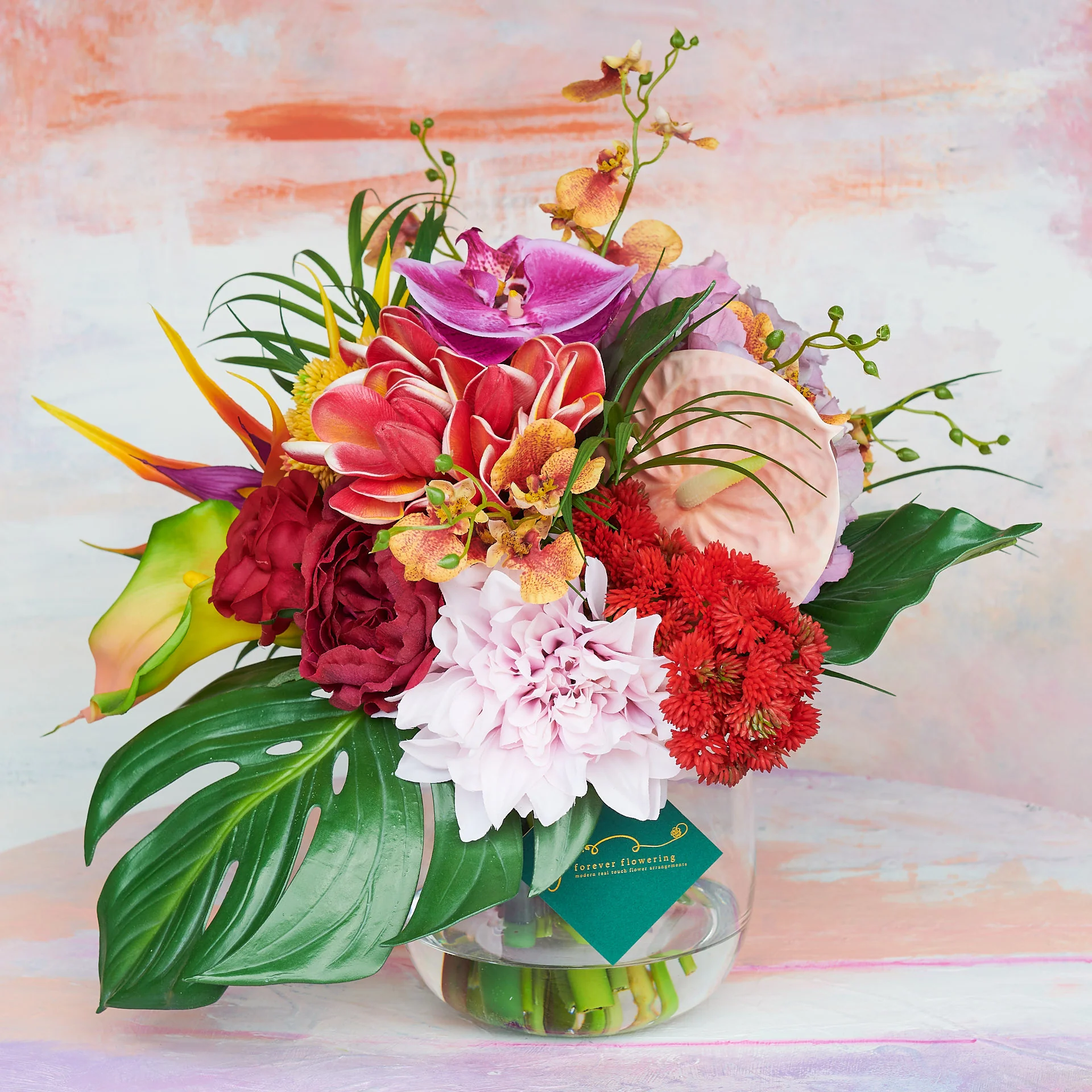 Frida - Image 5