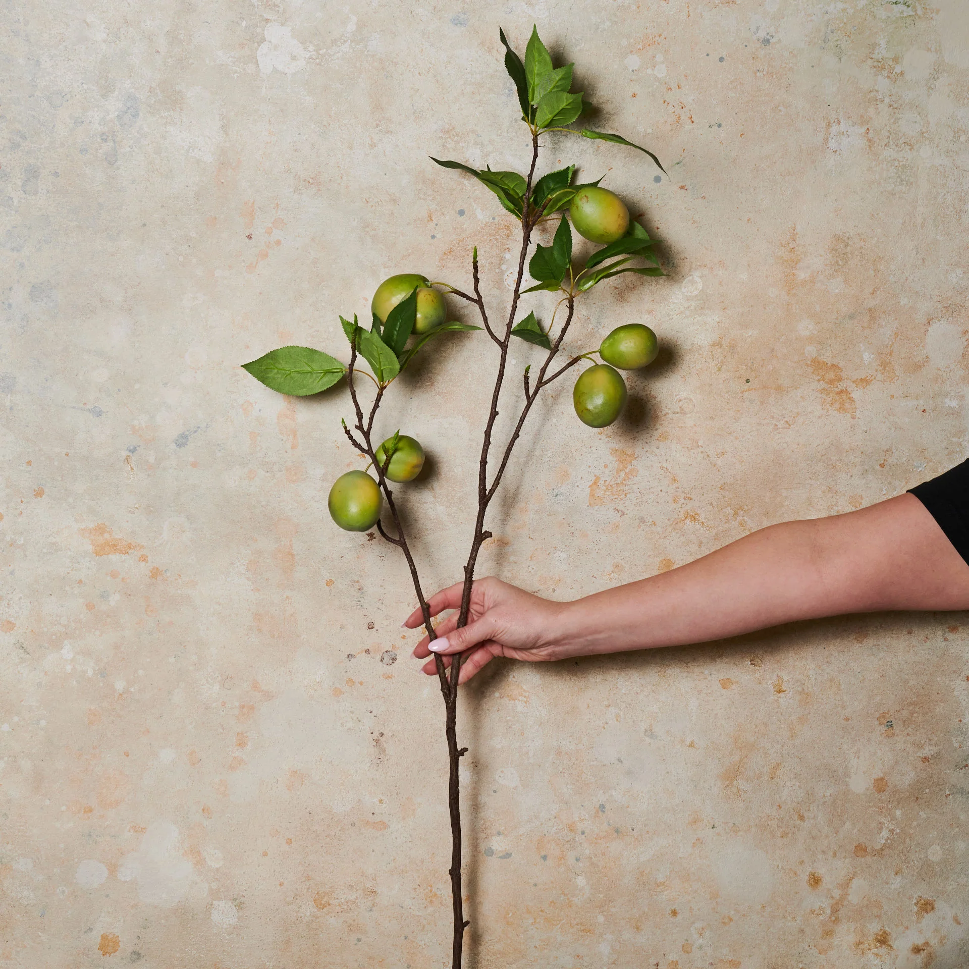 Fruit Branch Real Touch Flower Stem - Image 2