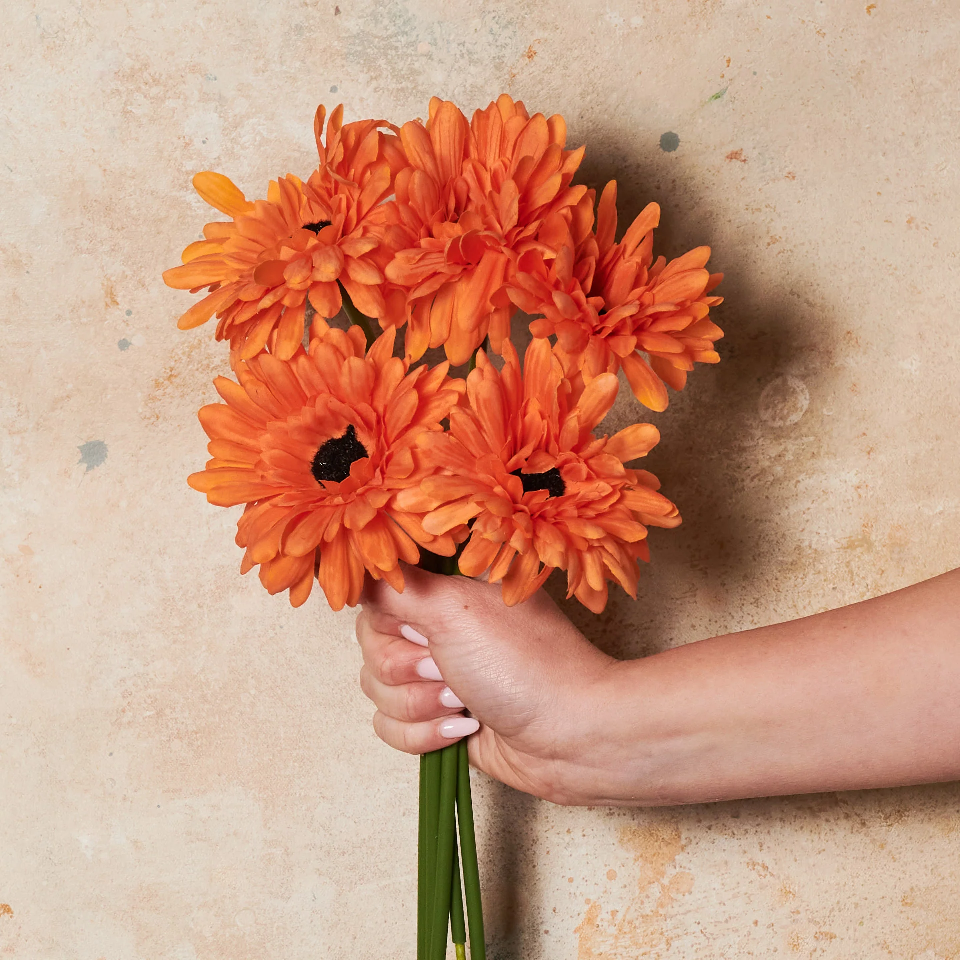 Gerbera Flower Bundle - Image 2