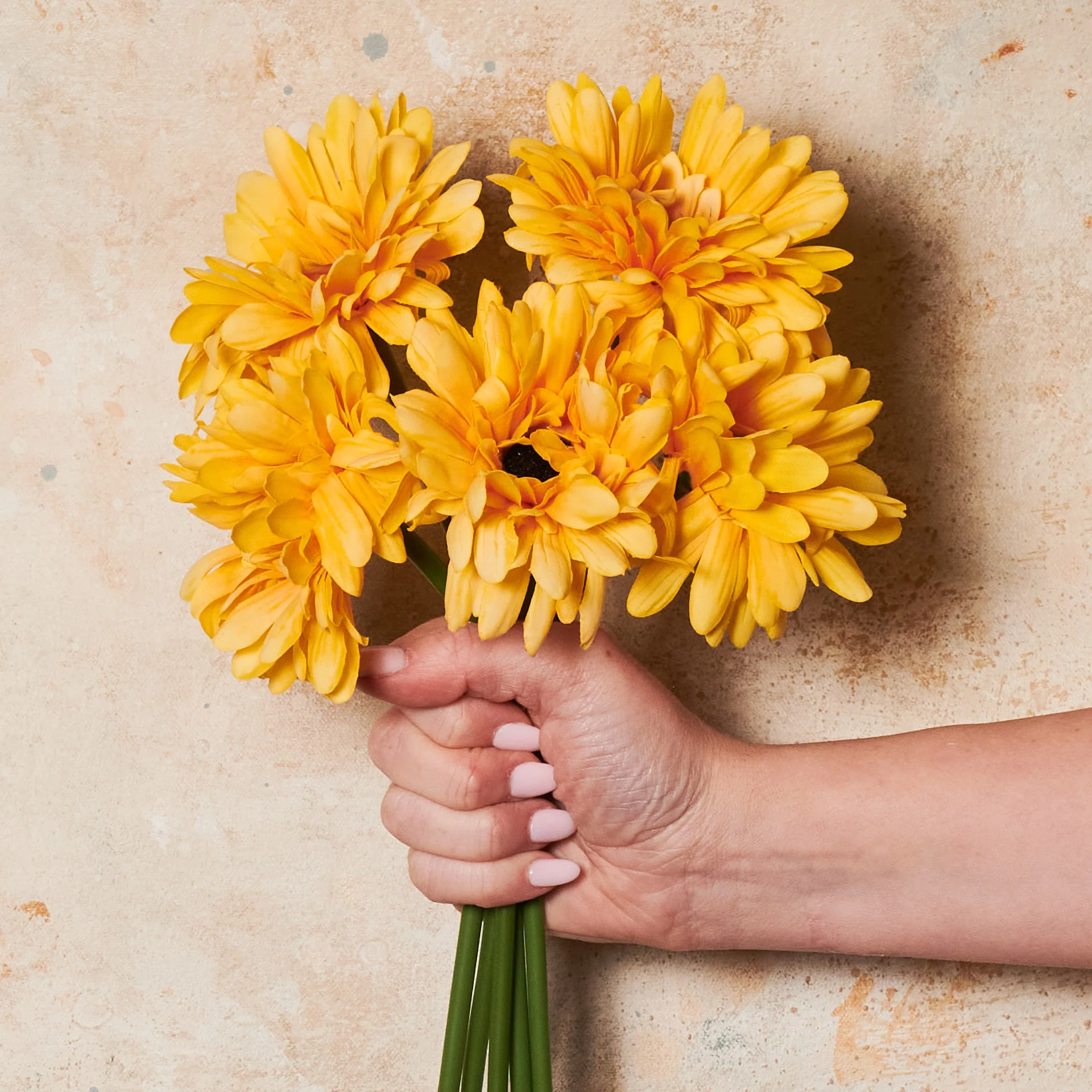 Gerbera Flower Bundle - Image 3