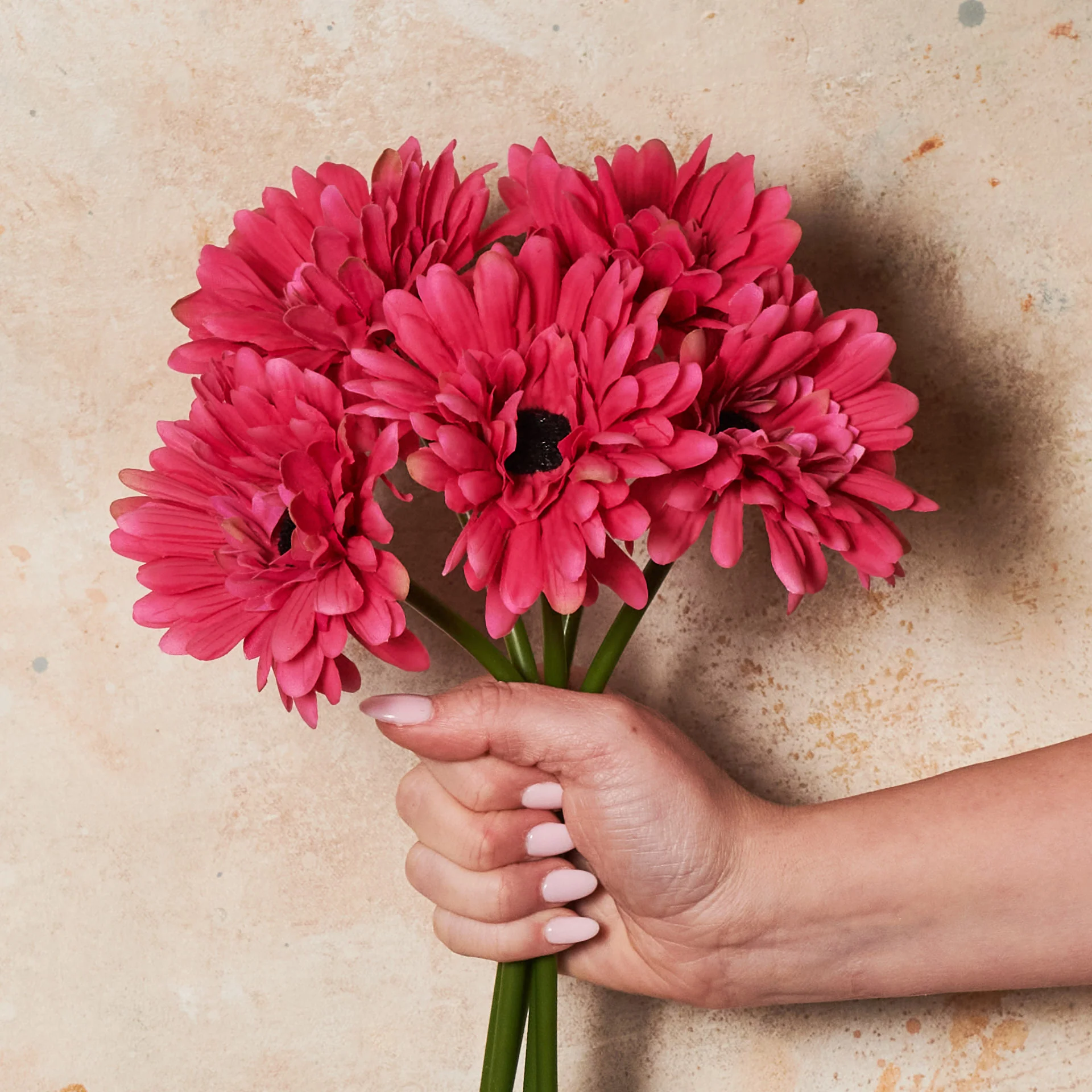 Gerbera Flower Bundle - Image 4