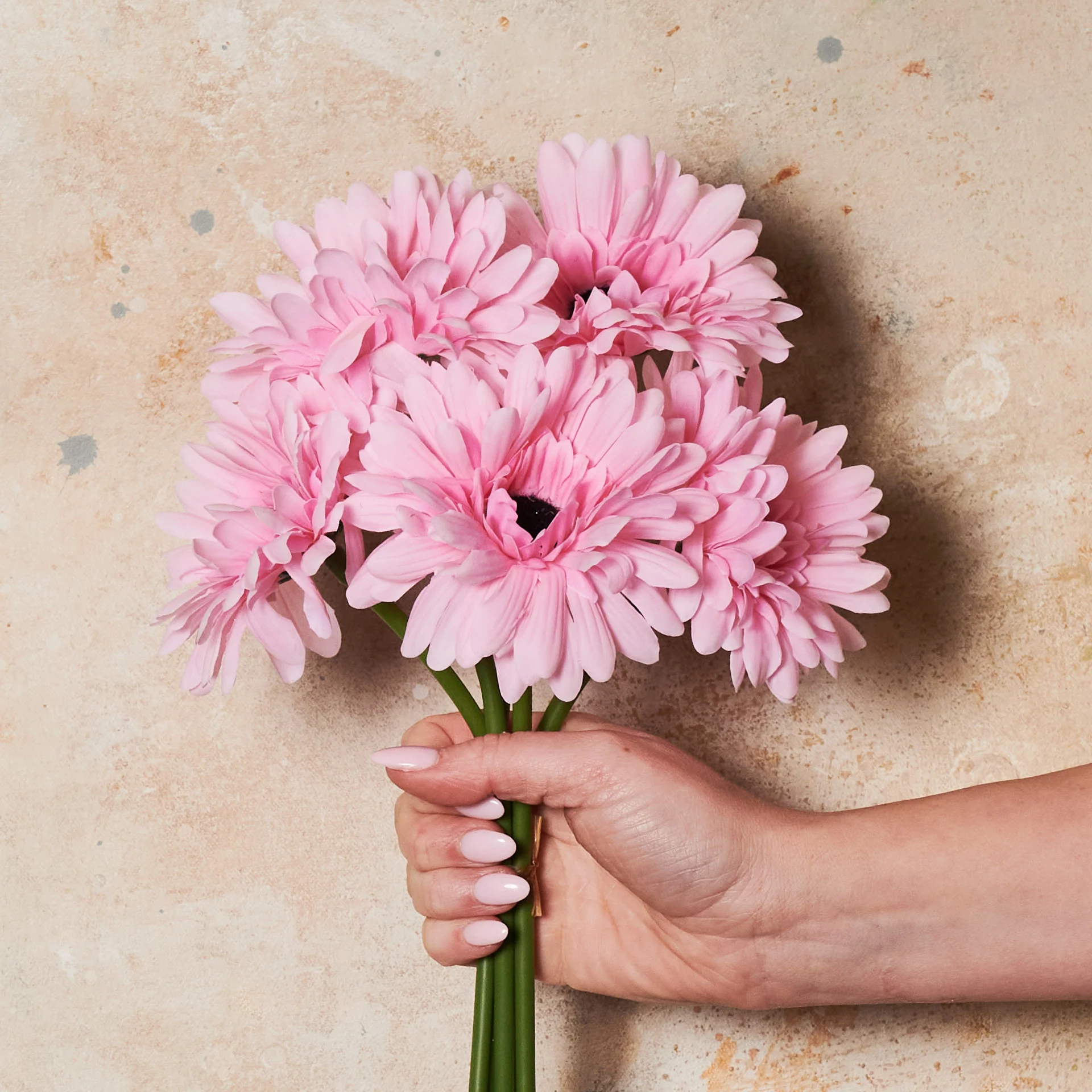 Gerbera Flower Bundle - Image 5