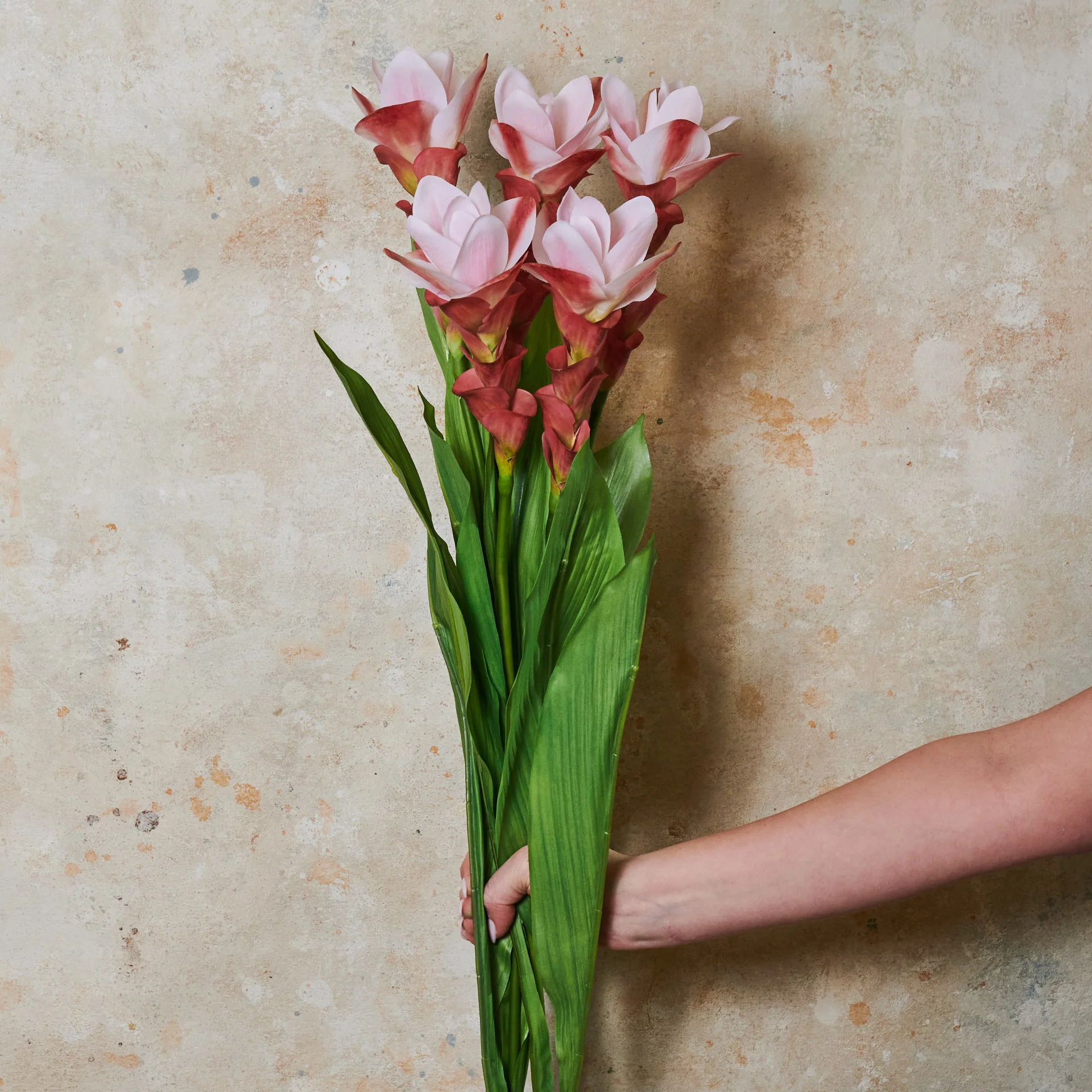 Ginger Flower Real Touch Stem - Image 3