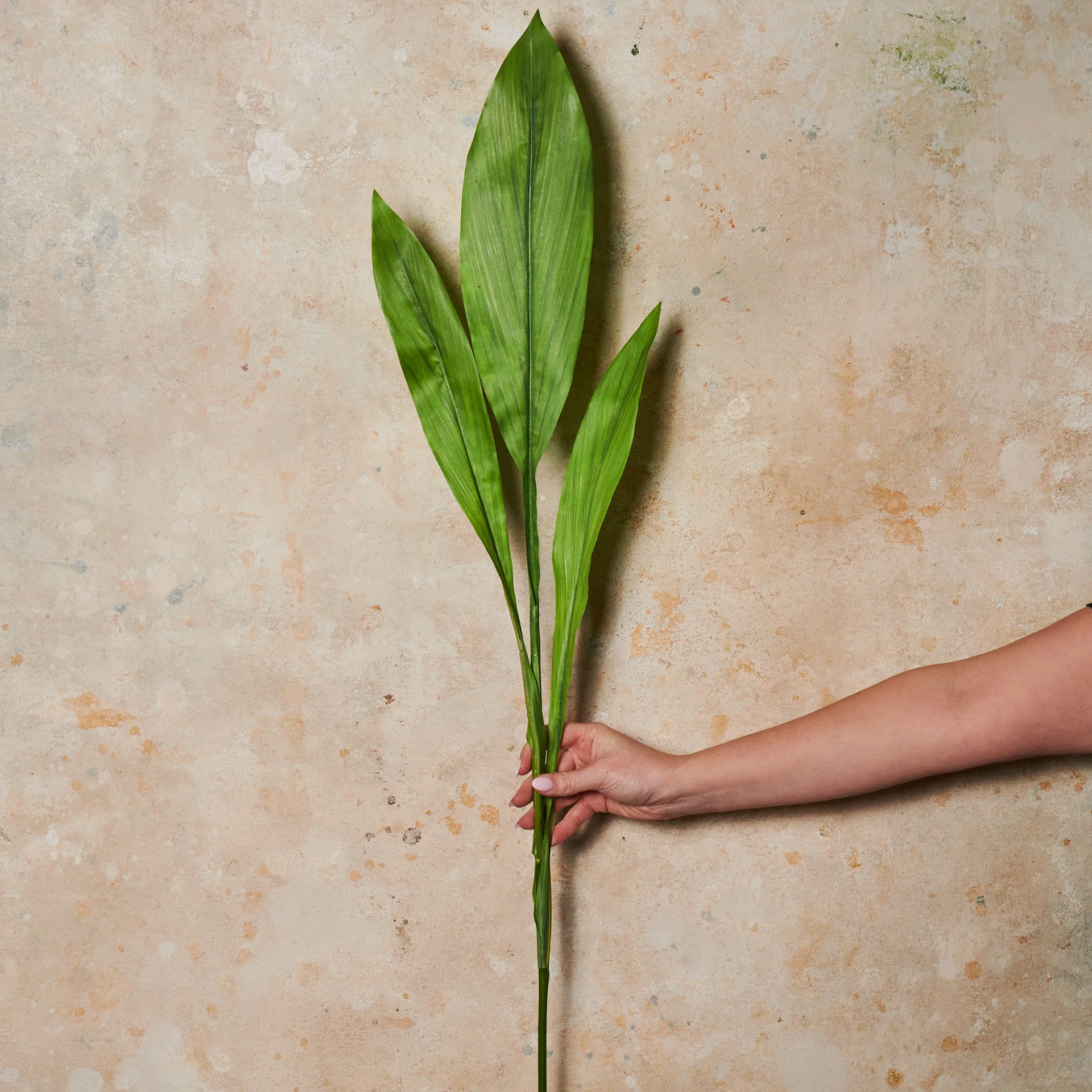 Ginger Leaf Spray Real Touch Stem - Image 2