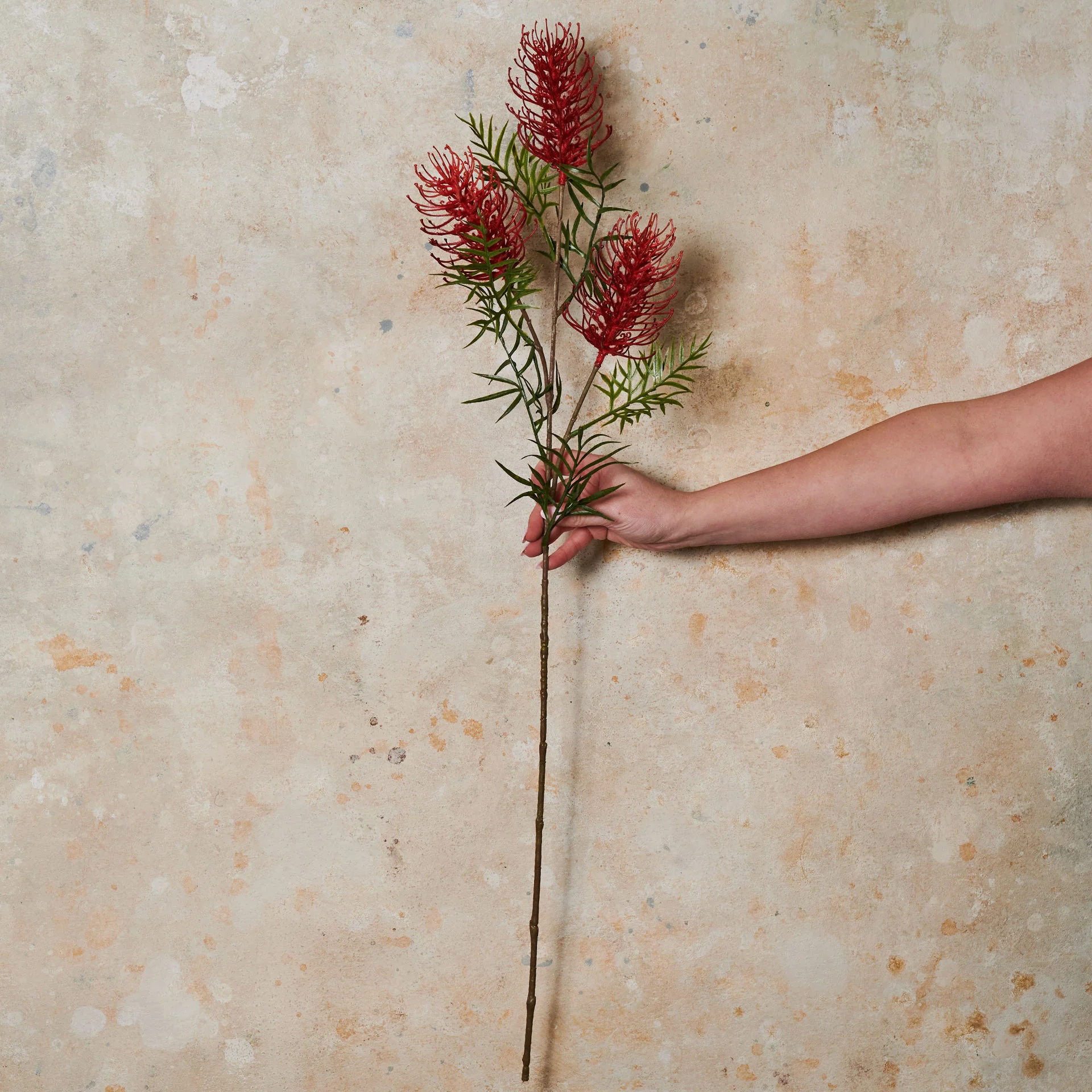 Grevillea Real Touch Flower Stem - Image 3