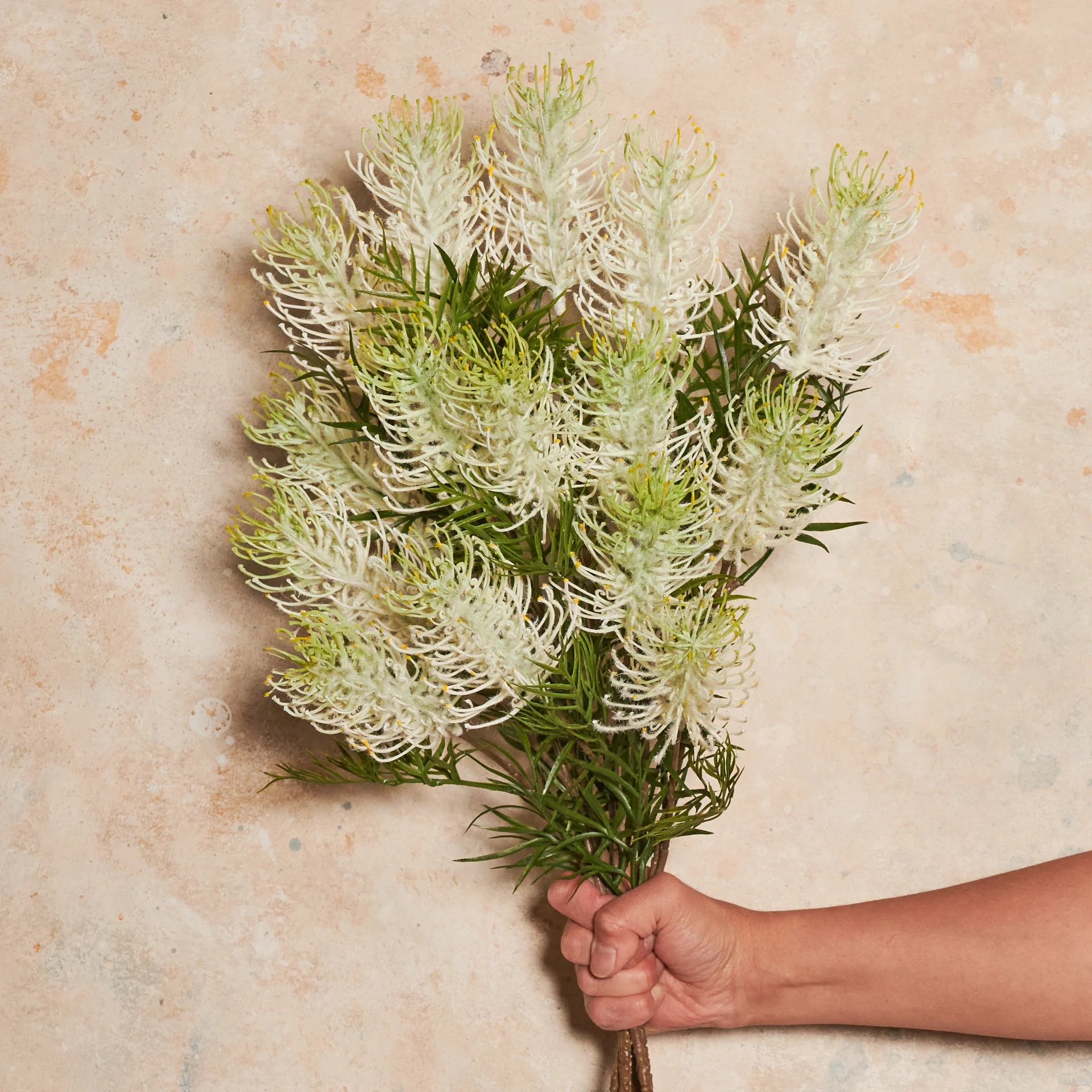 Grevillea Real Touch Flower Stem - Image 6