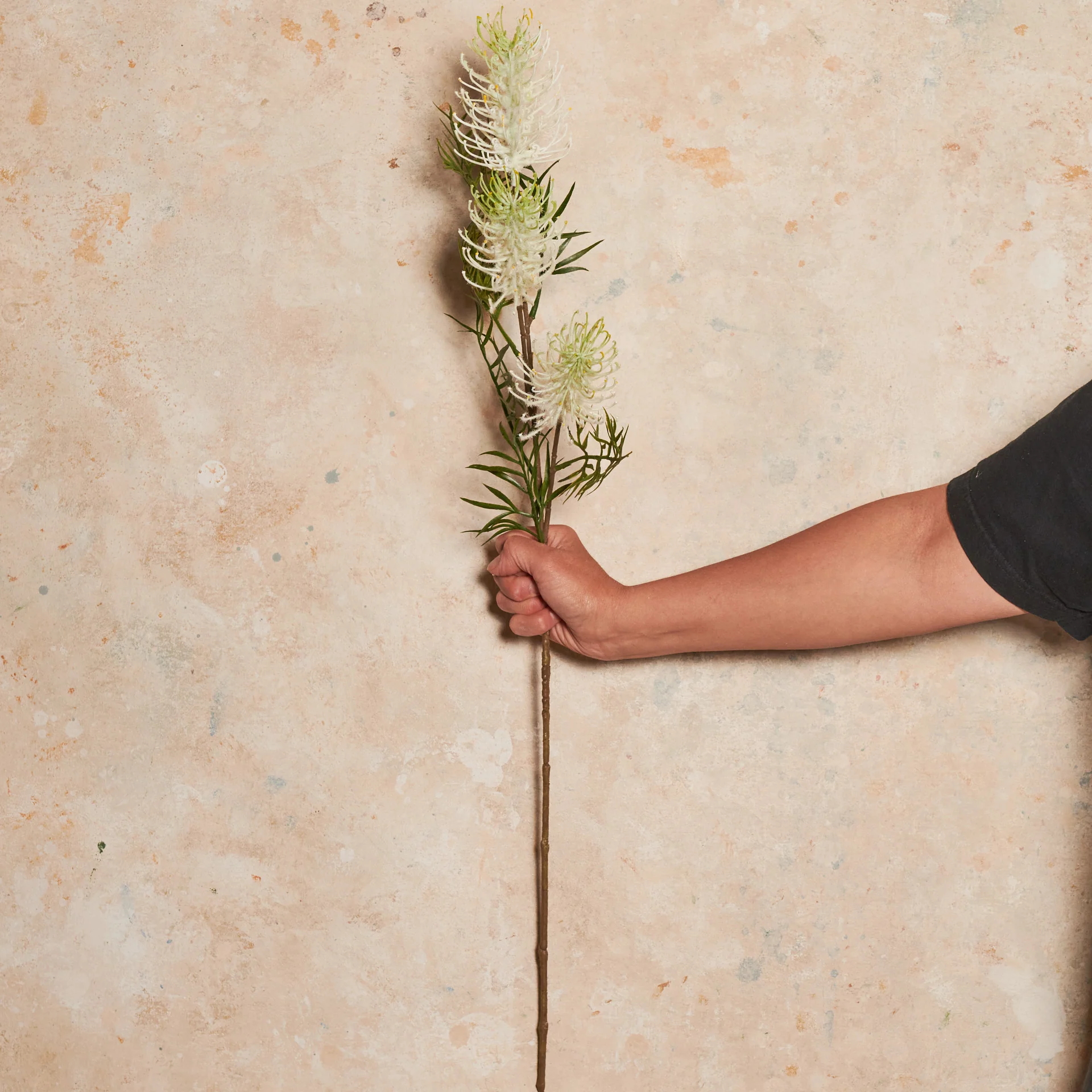 Grevillea Real Touch Flower Stem - Image 7