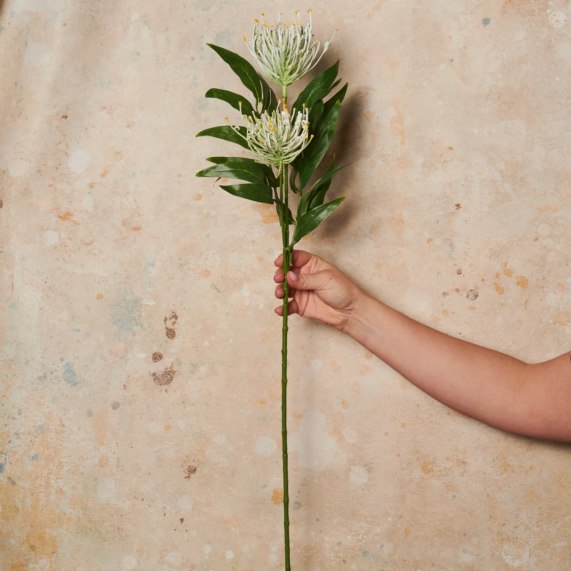 Grevillea Spray Real Touch Flower Stem - Image 3