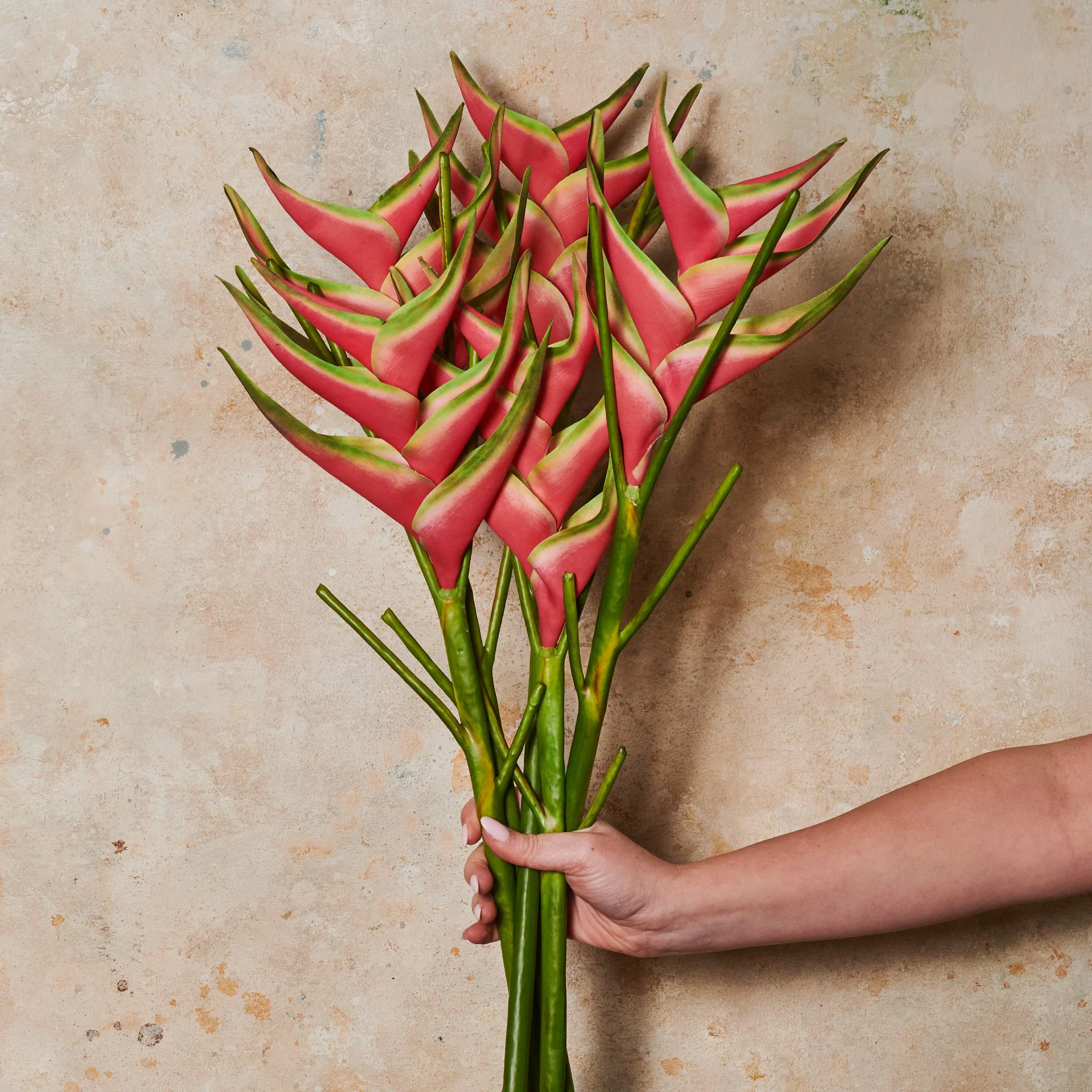 Heliconia Real Touch Flower Stem - Image 2