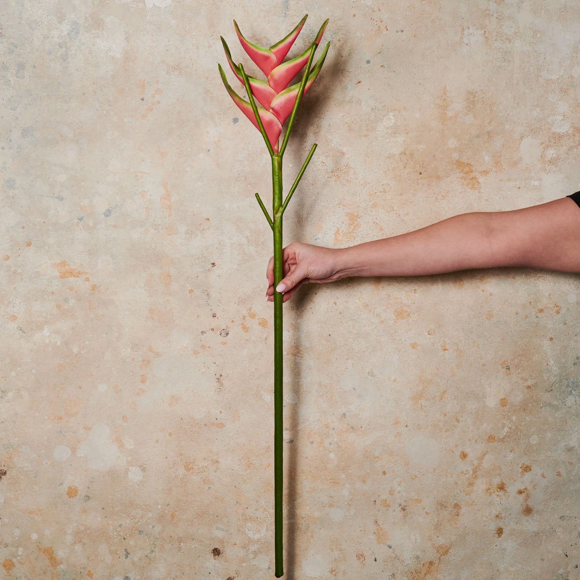 Heliconia Real Touch Flower Stem - Image 3
