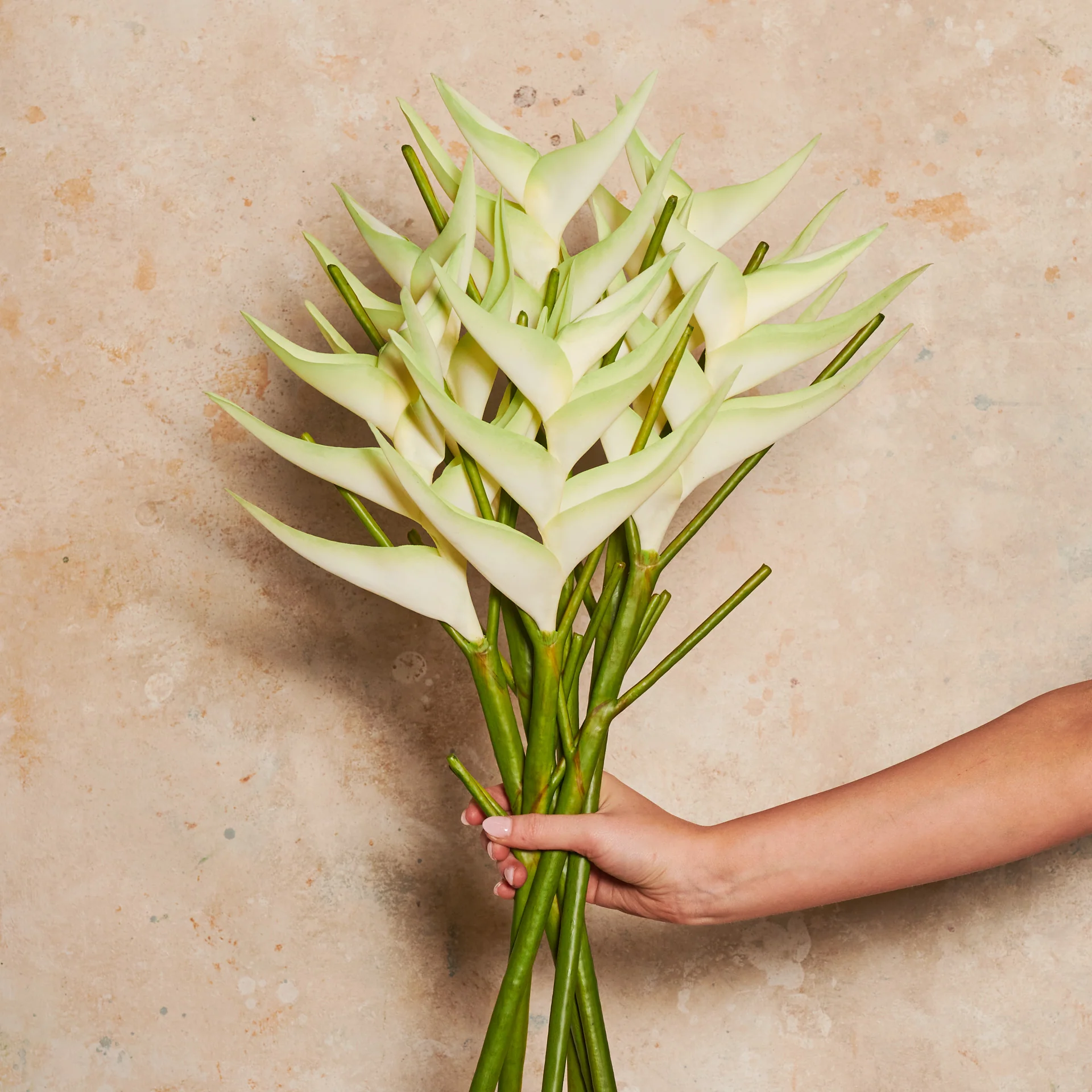 Heliconia Real Touch Flower Stem - Image 5