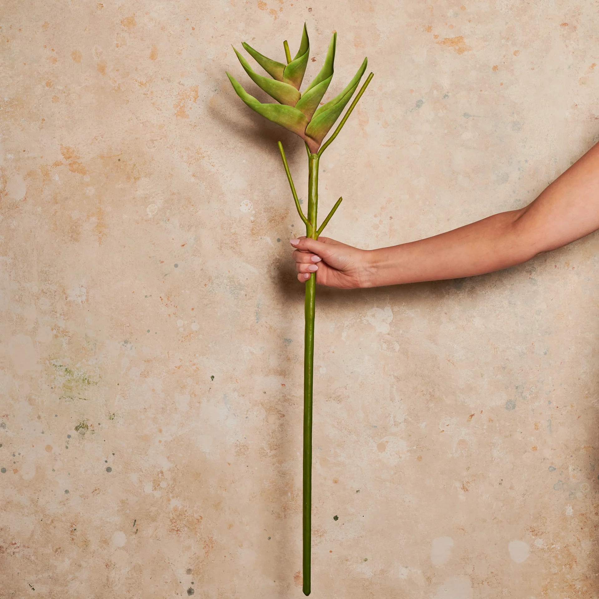 Heliconia Real Touch Flower Stem - Image 6