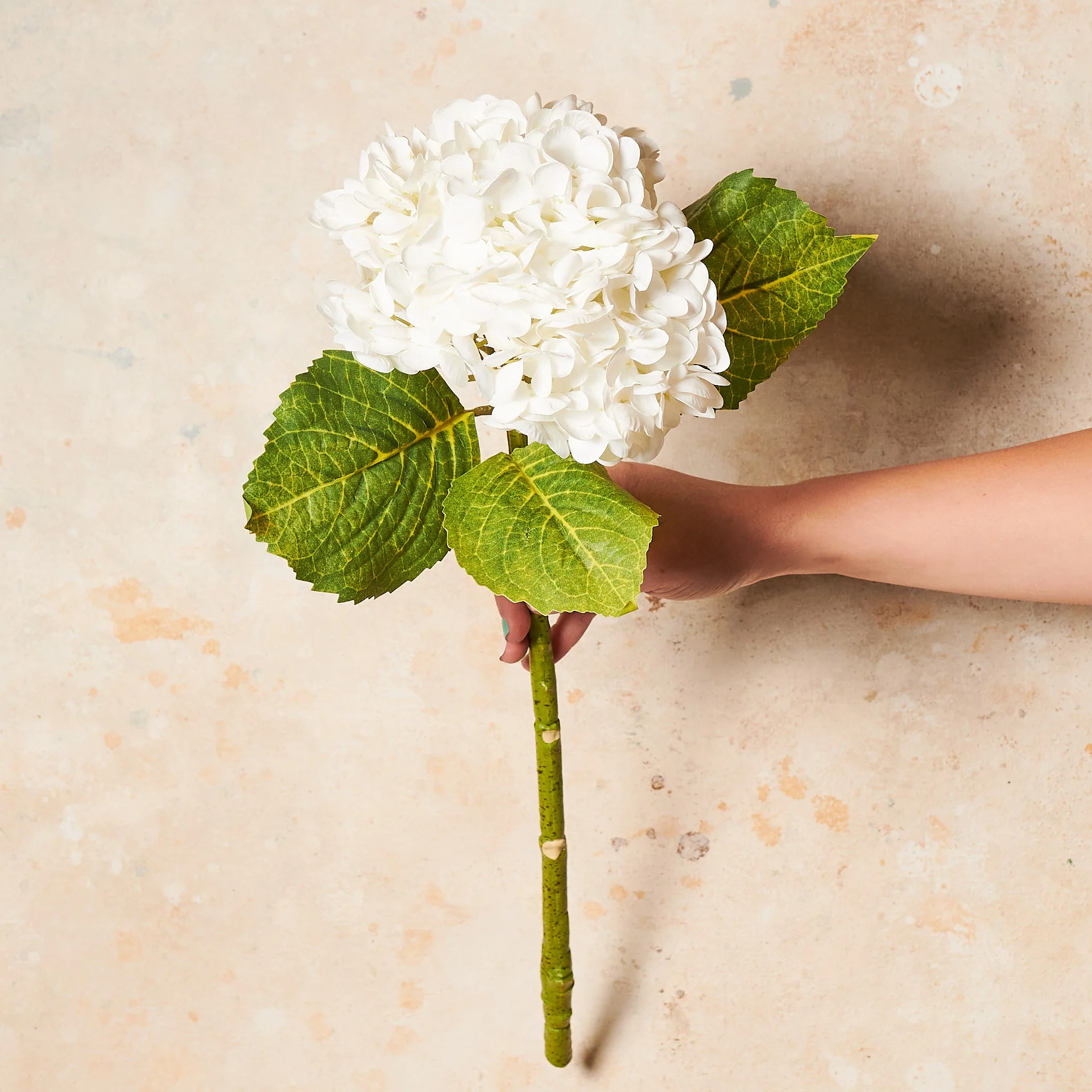 Hydrangea Real Touch Flower Stem Premium - Image 3