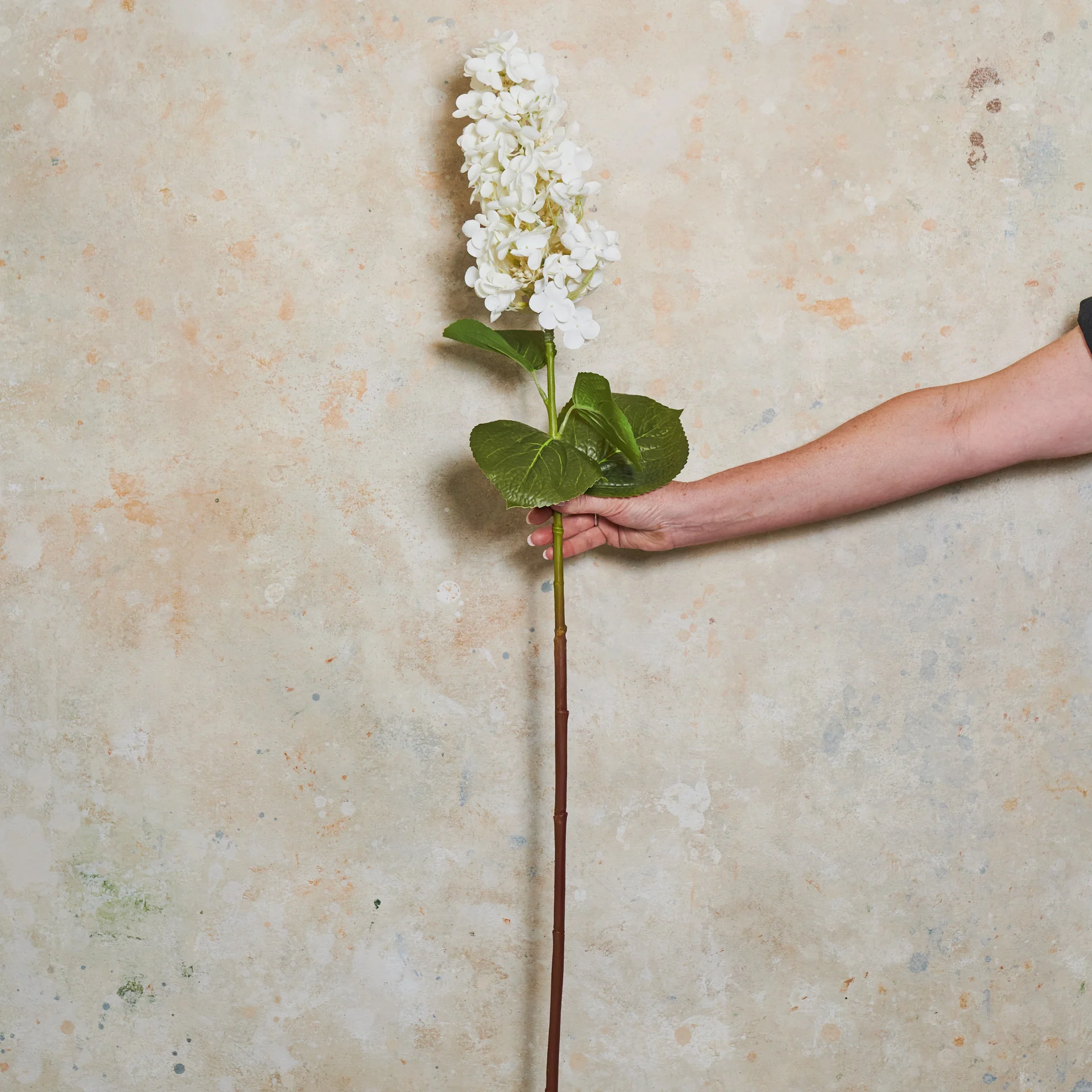Hydrangea Cone Real Touch Flower Stem - Image 5
