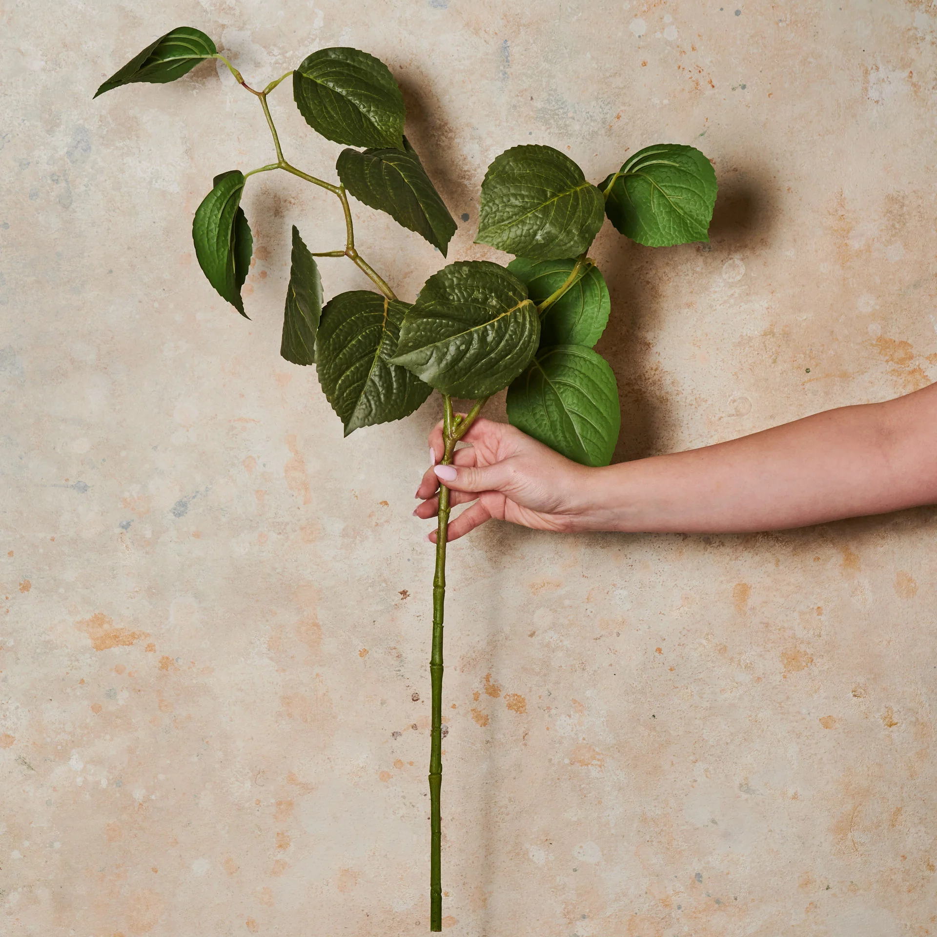 Hydrangea Leaf Real Touch Flower Stem - Image 2