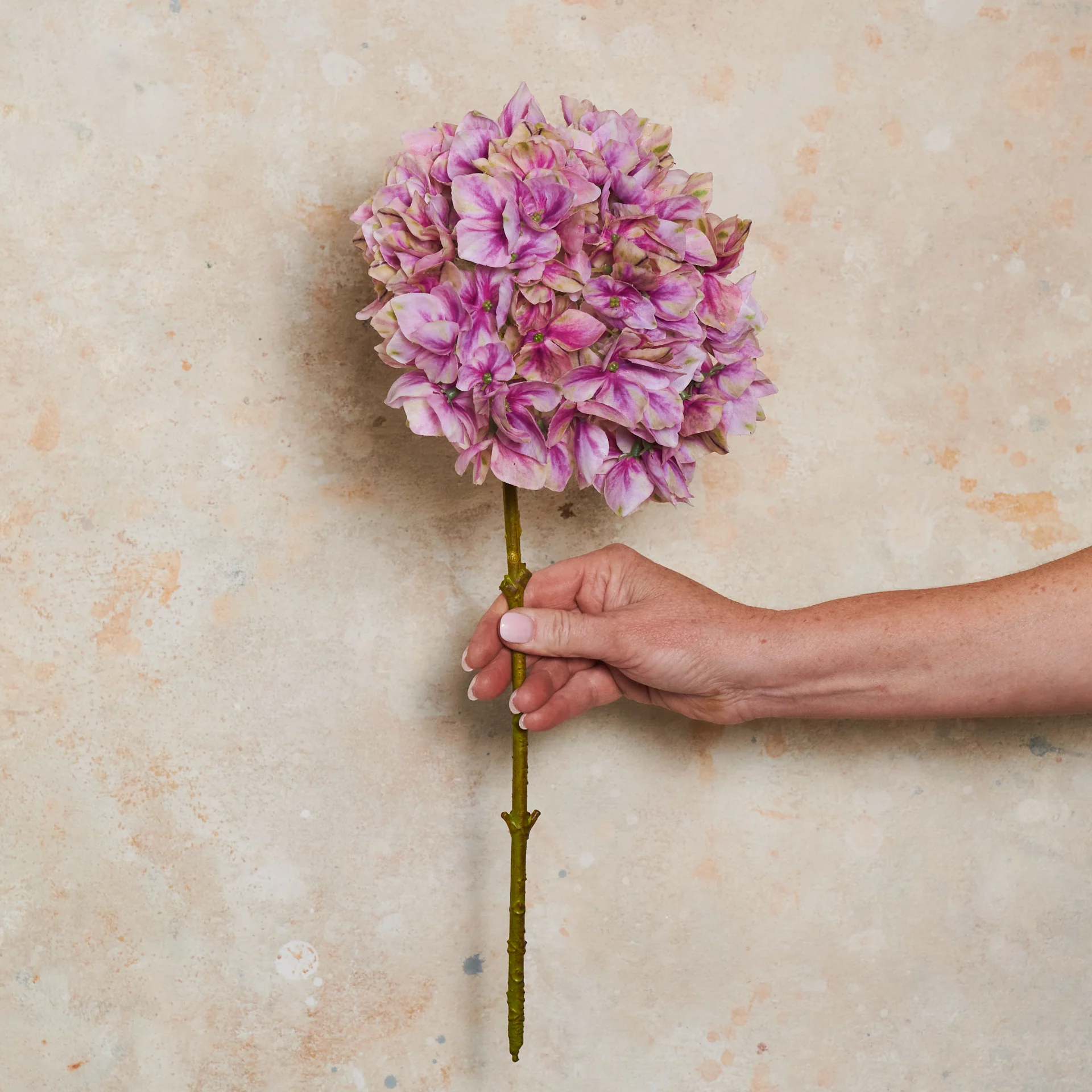 Hydrangea Pointed Real Touch Flower Stem - Image 2